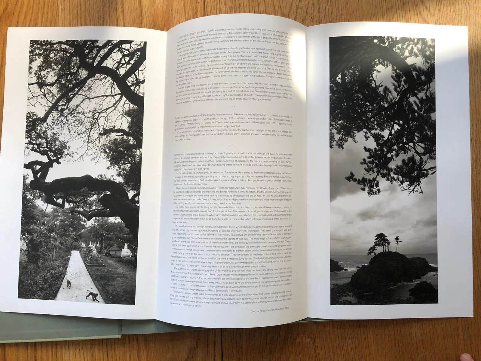 Sammallahti - Image 2