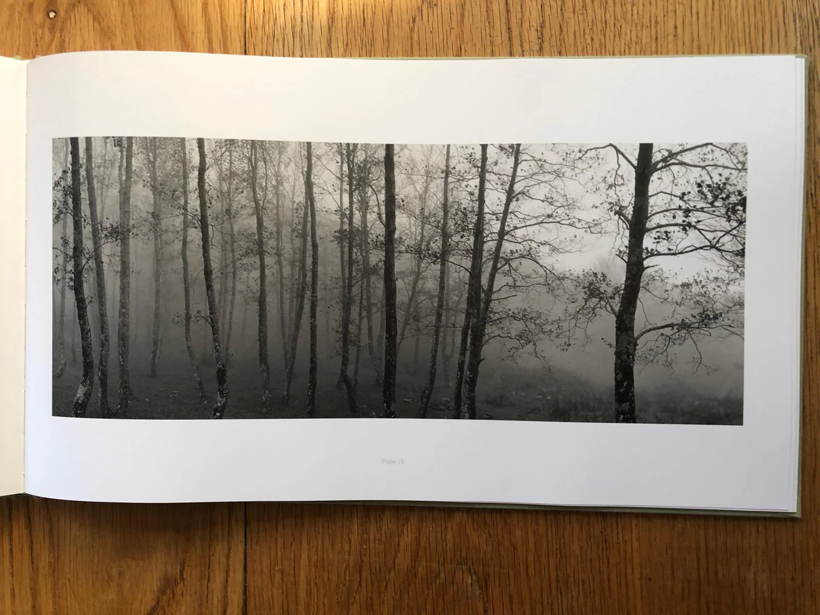 Sammallahti - Image 3