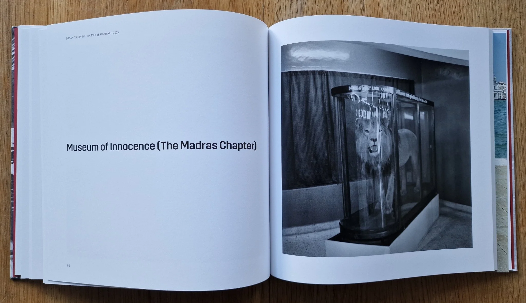 Sea of Files: Hasselblad Award 2022 - Image 4