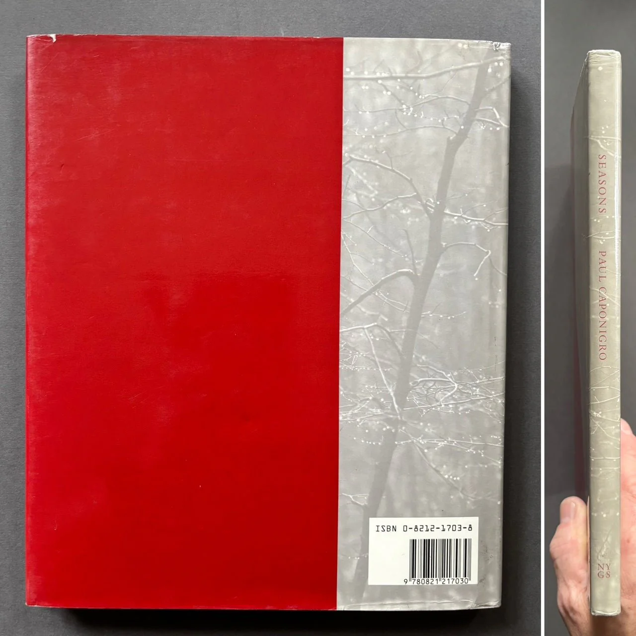 Seasons - Image 7