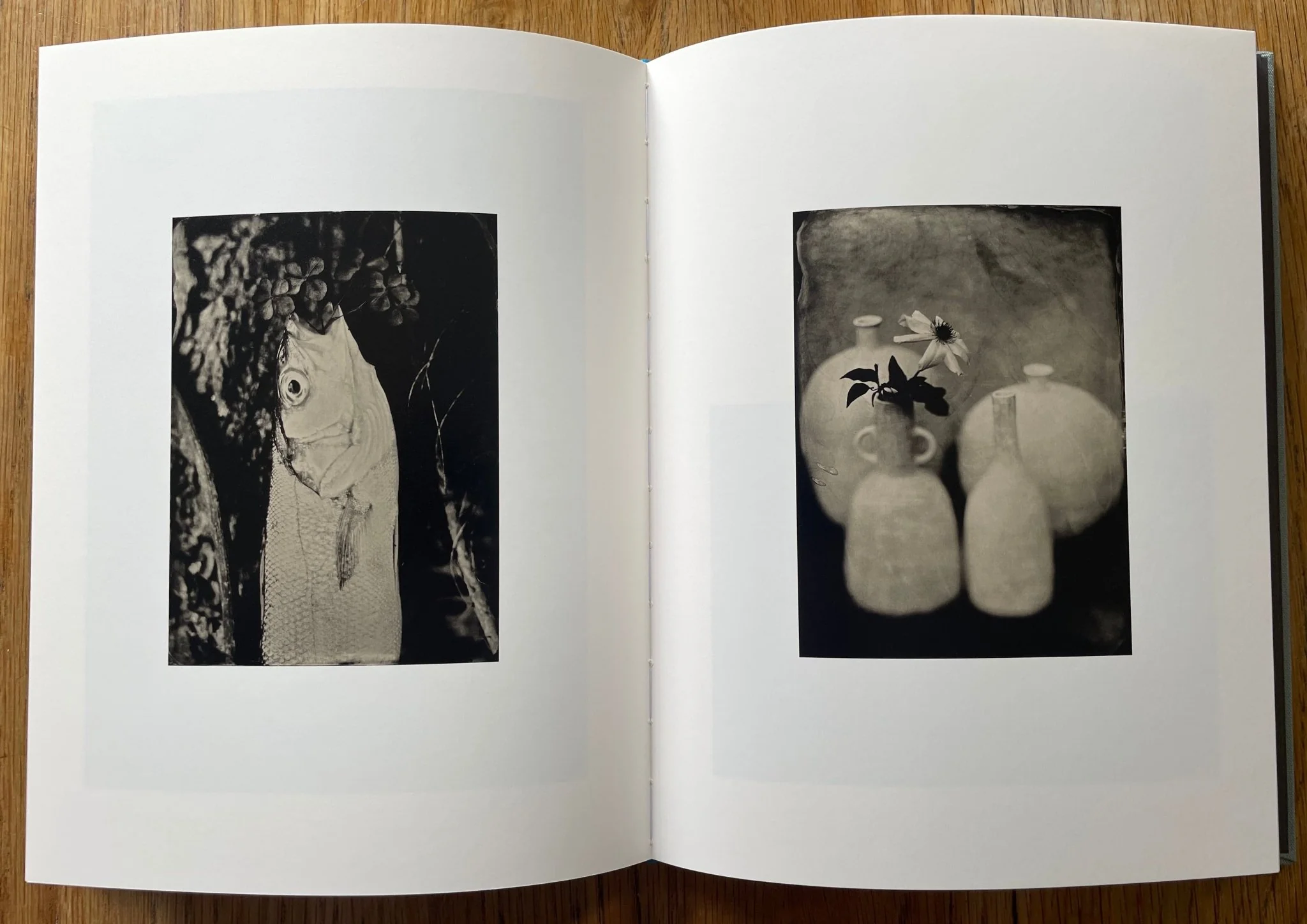 See Until I See No More - Image 3
