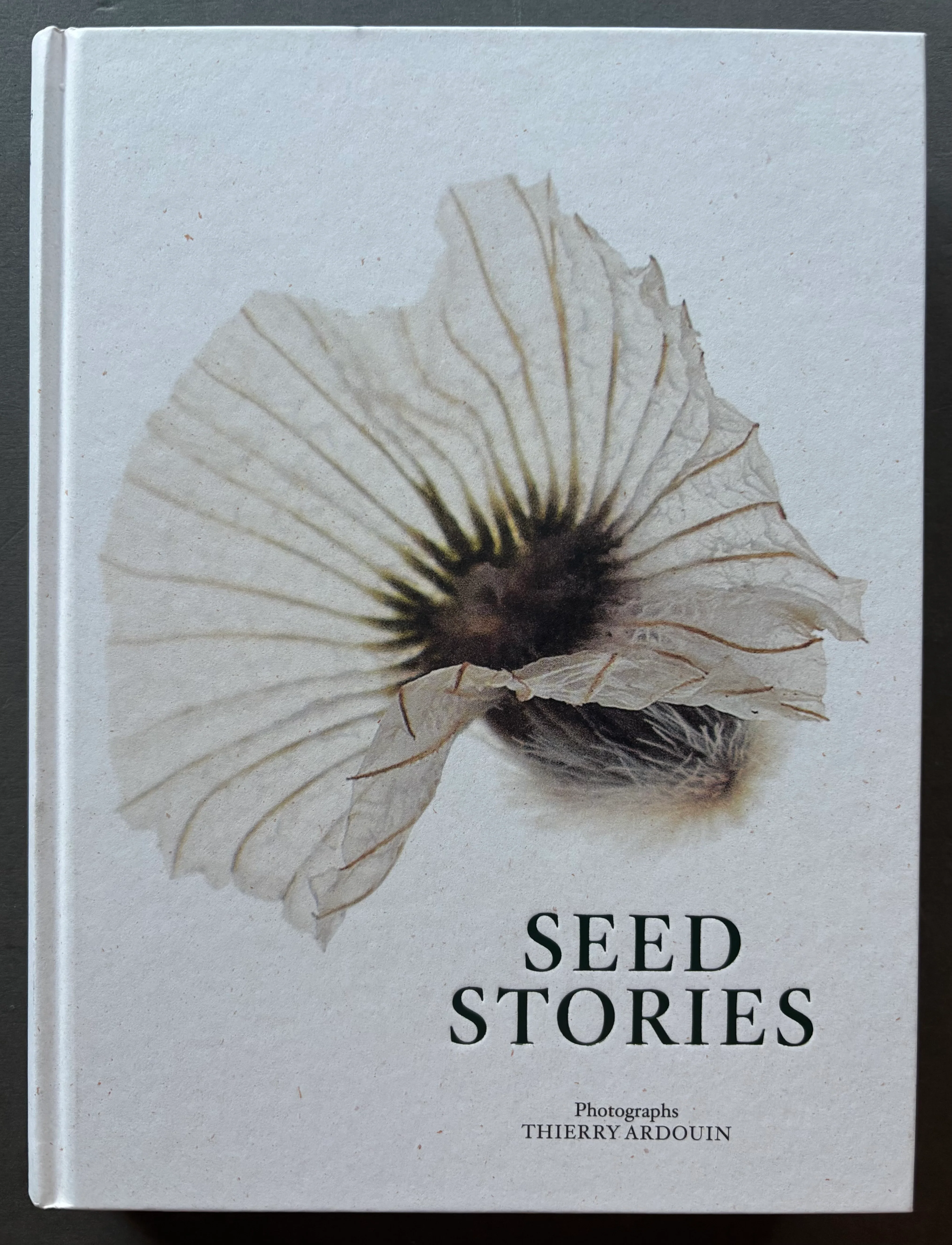 Seed Stories