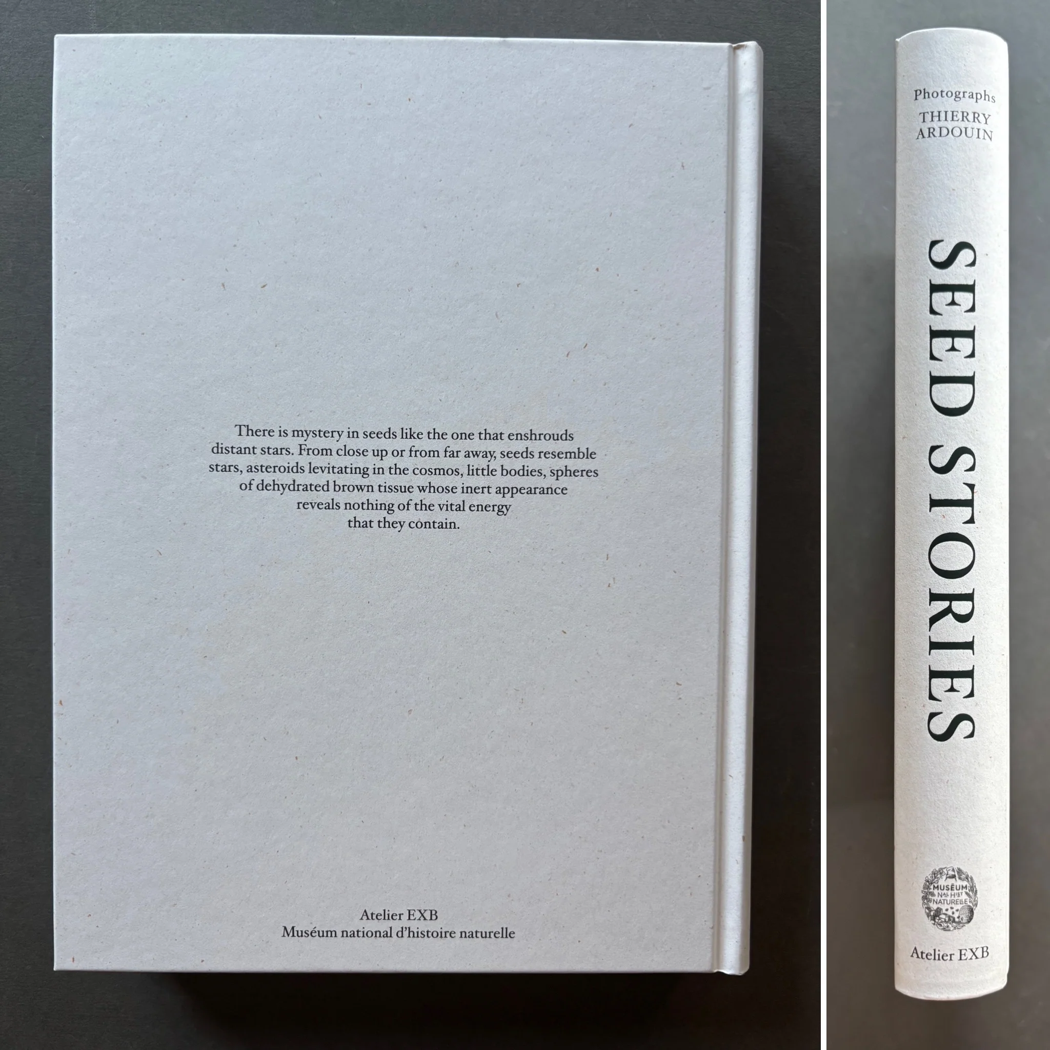 Seed Stories - Image 6