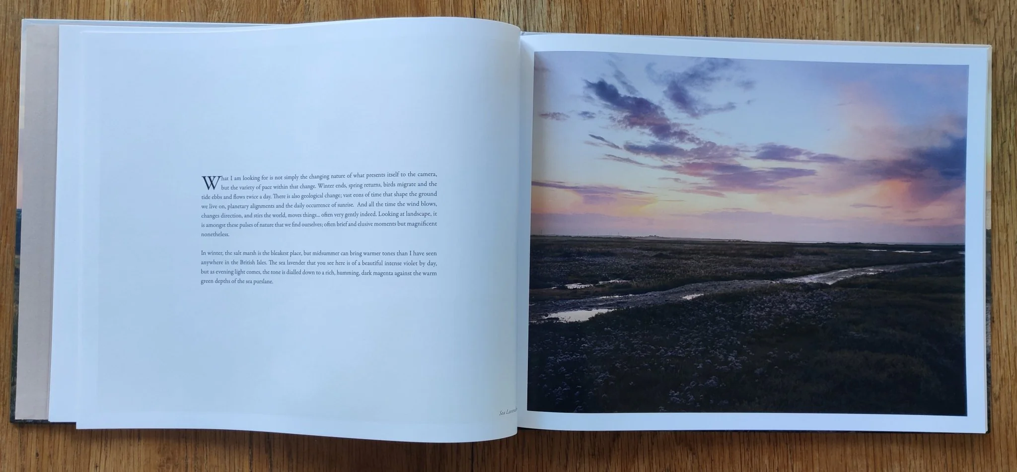 Sensation of Landscape - Image 3