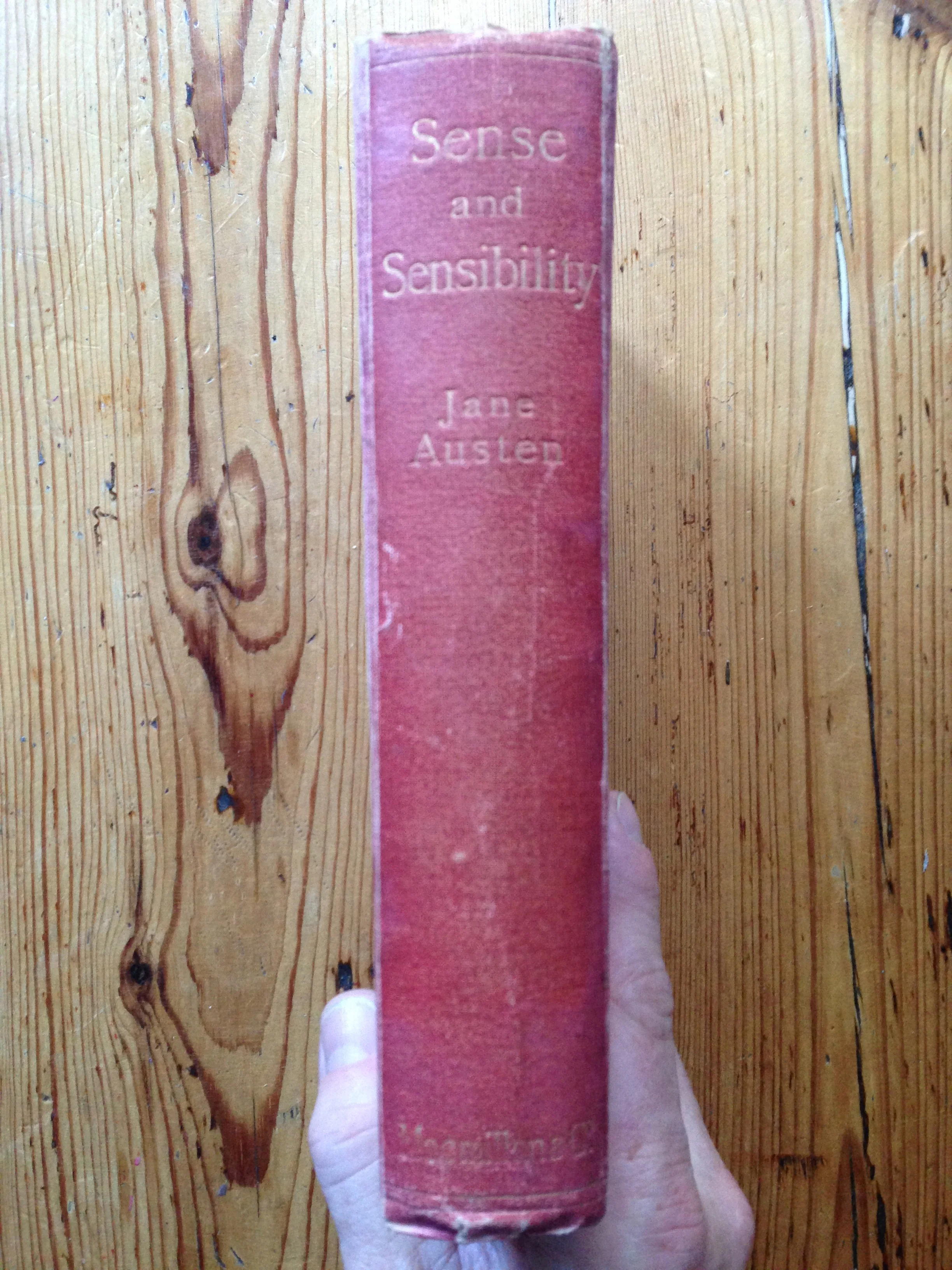 Sense and Sensibility - Image 2