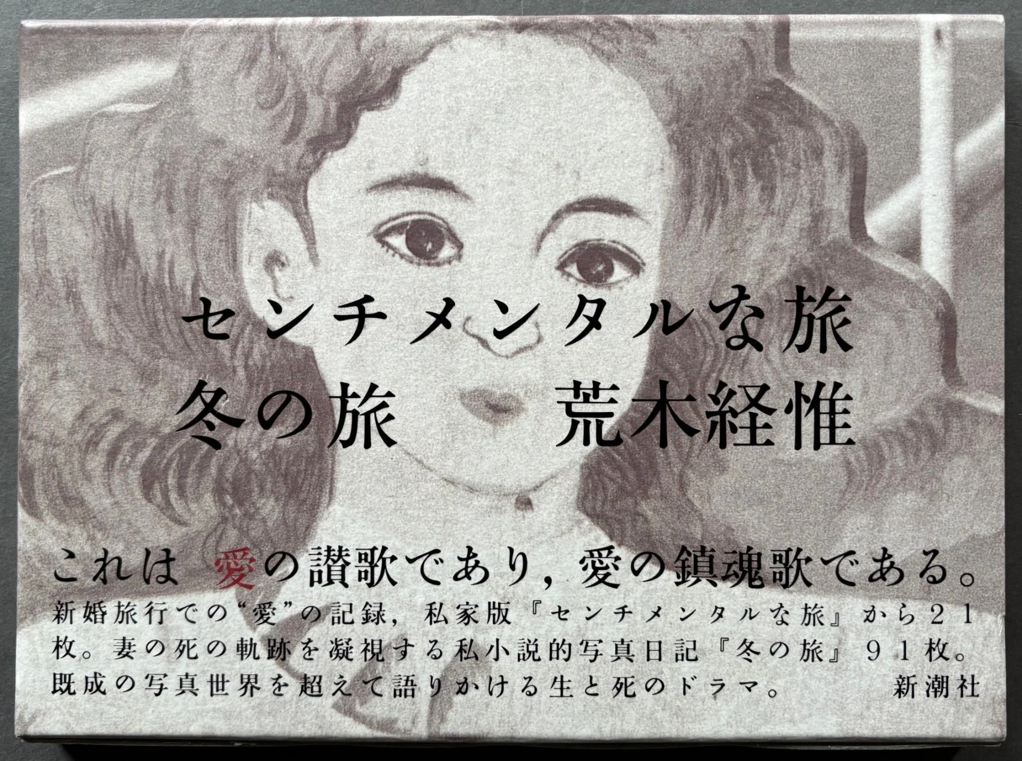 Sentimental Journey/Winter Journey