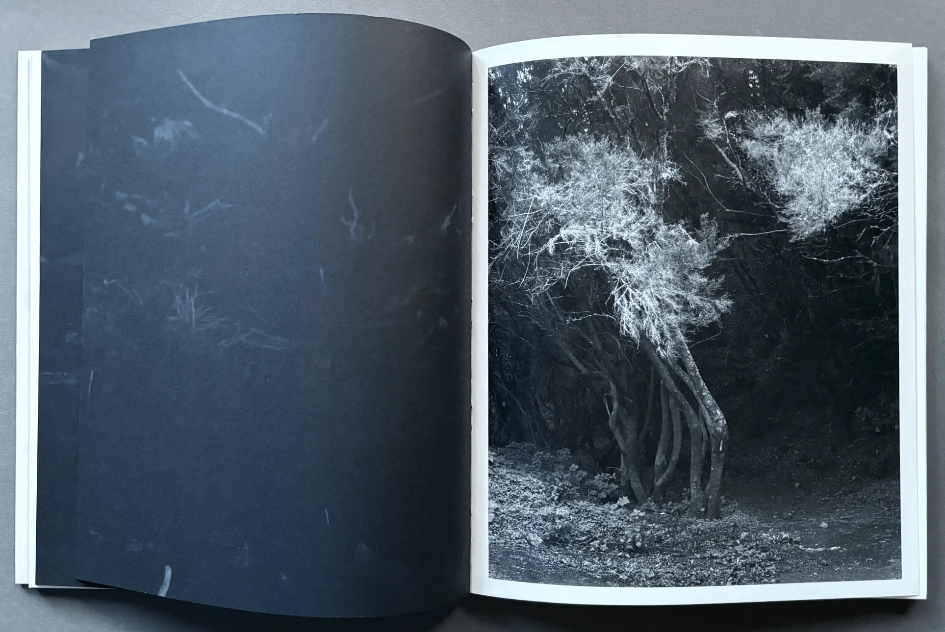 Sequester - Image 6