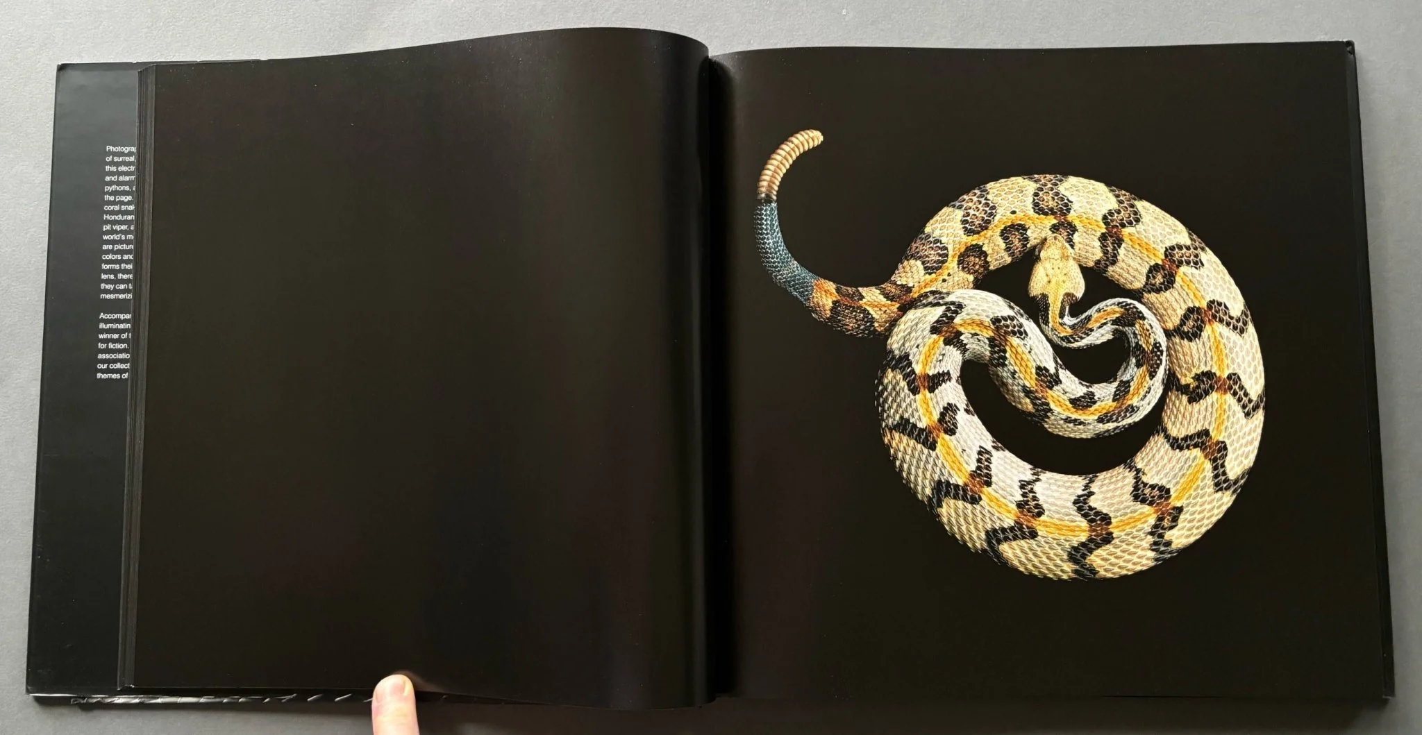 Serpentine - Image 3