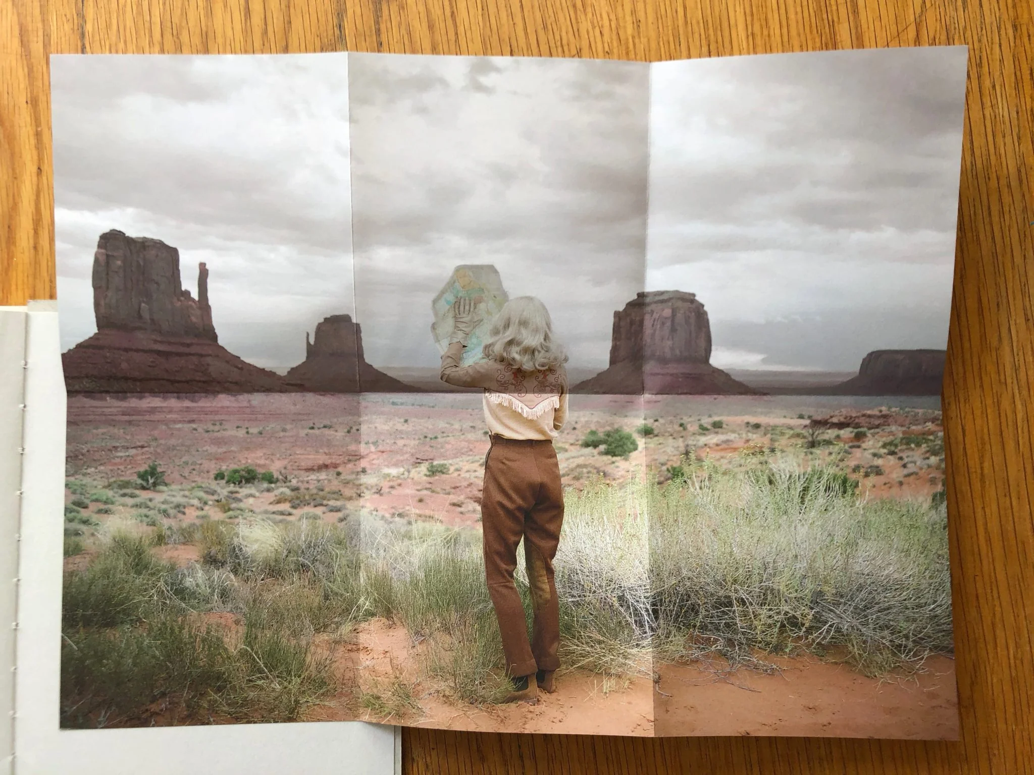 She Could have been a Cowboy - Image 8
