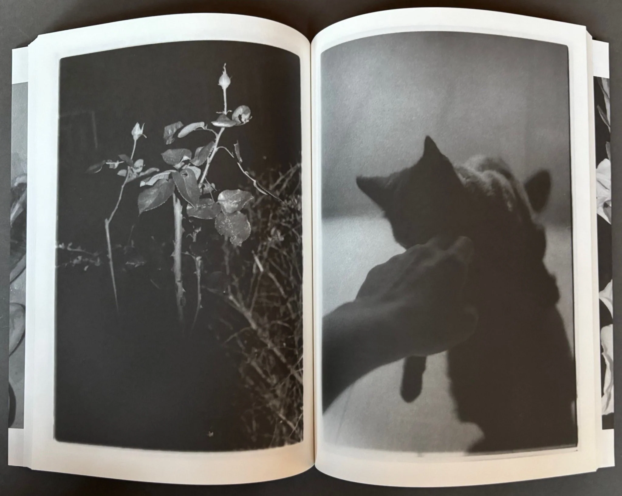 She Could See Herself in the Darkness - Image 3