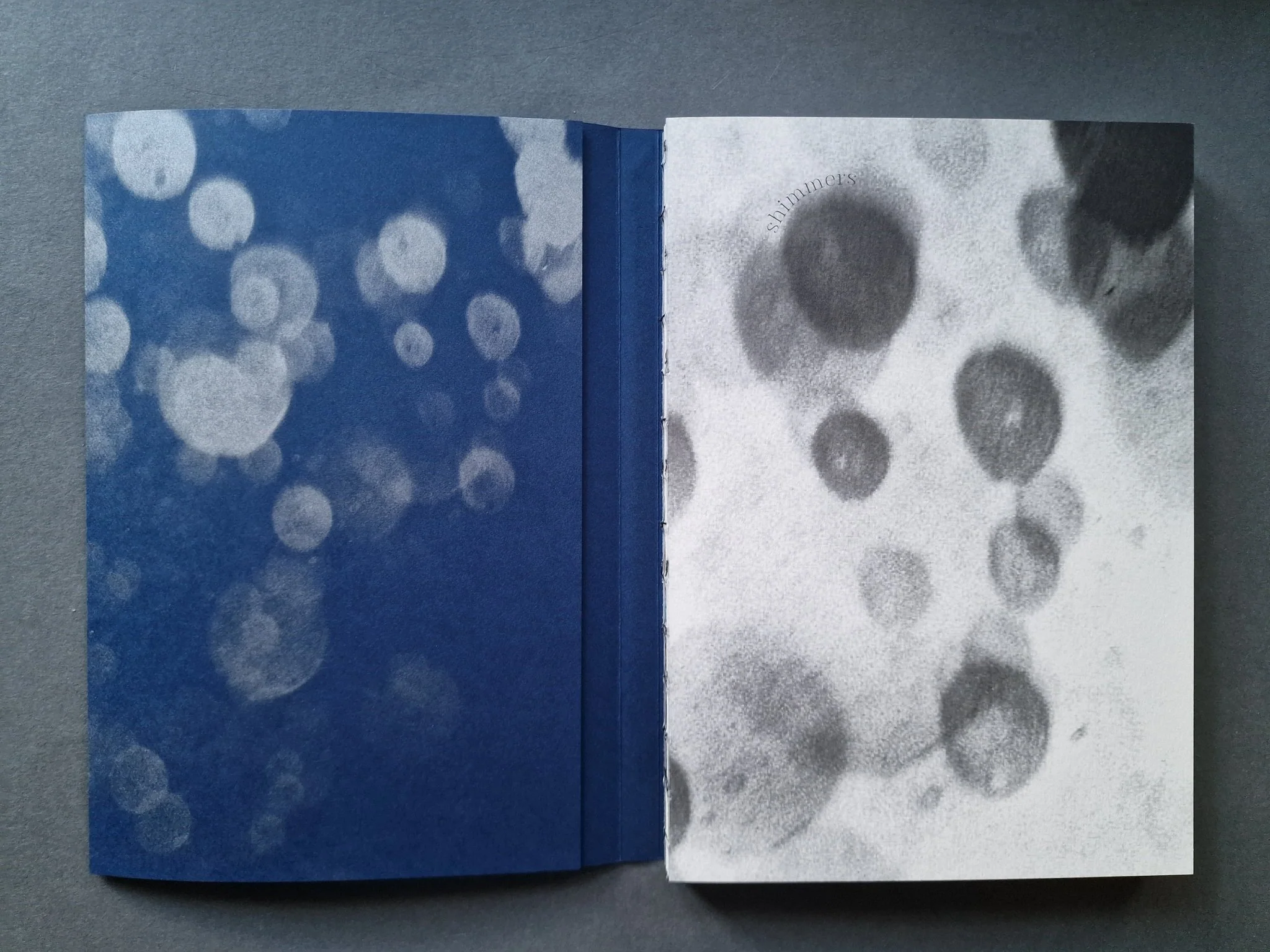 Shimmers - Image 4
