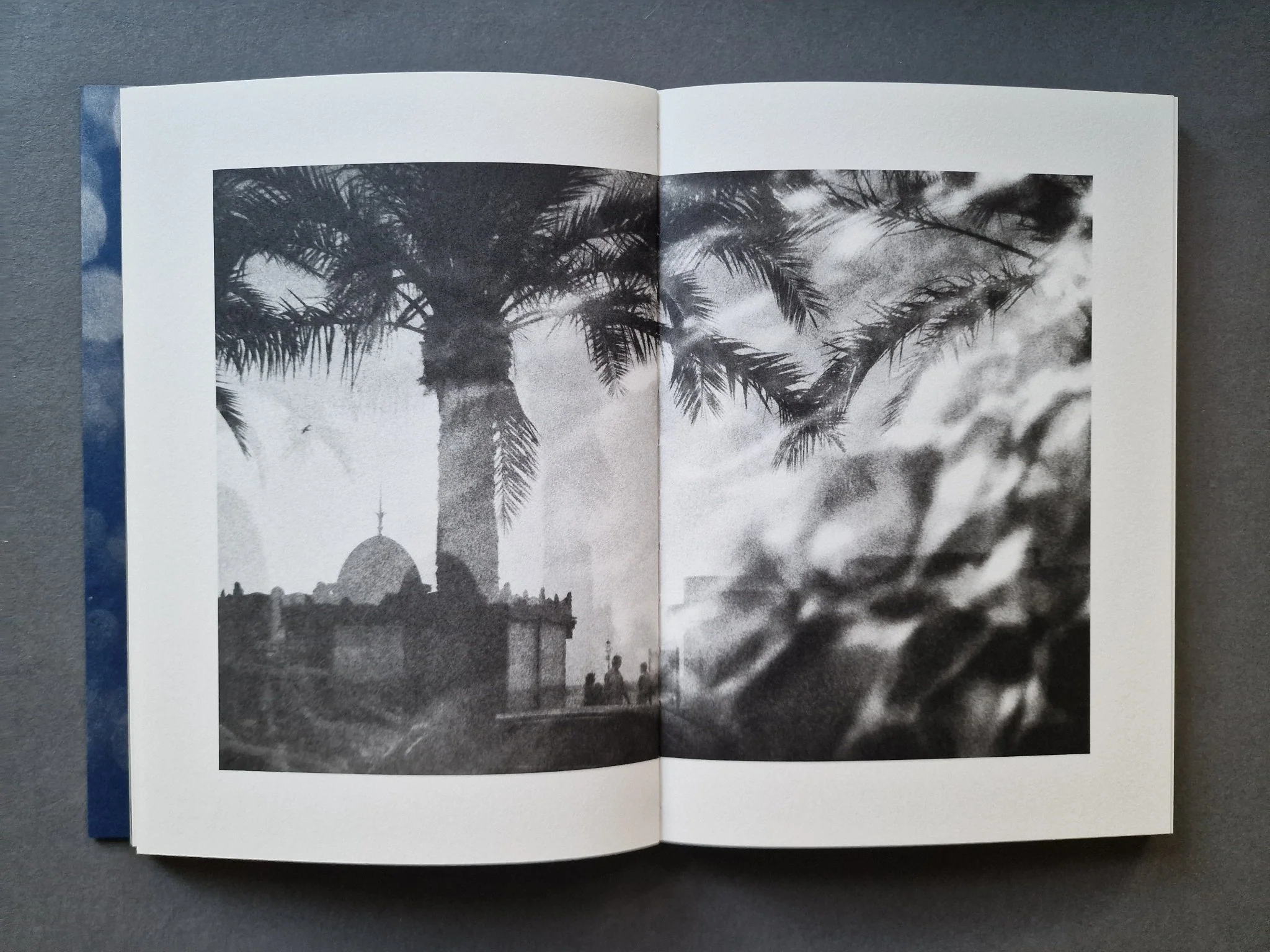 Shimmers - Image 7