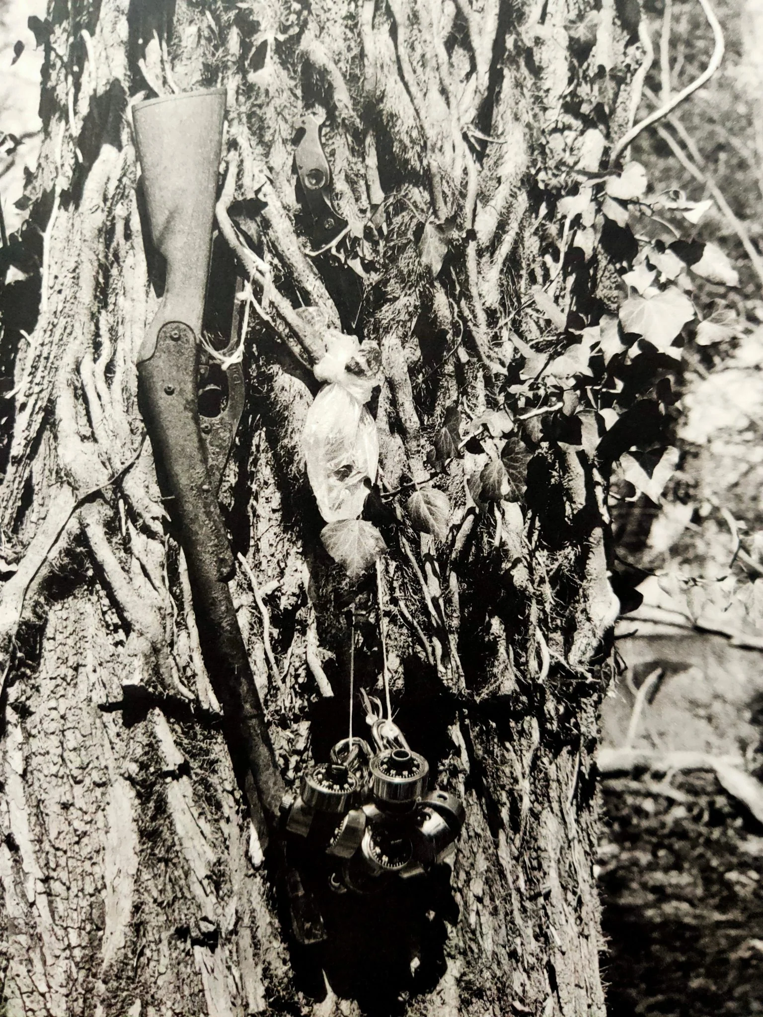 Should Nature Change - Image 5