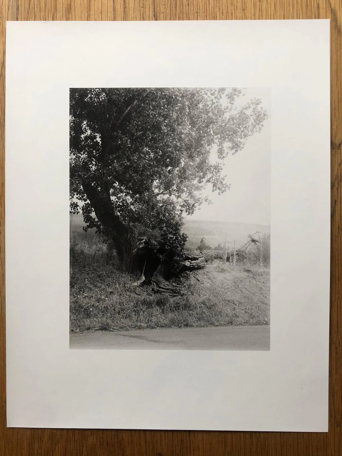 SIX BY SIX | Set 1: East Baltimore, Motel Club, Amwell, Machu Picchu, The Ancient Tigers of my Neighborhood, Expressways 1986 - Image 10