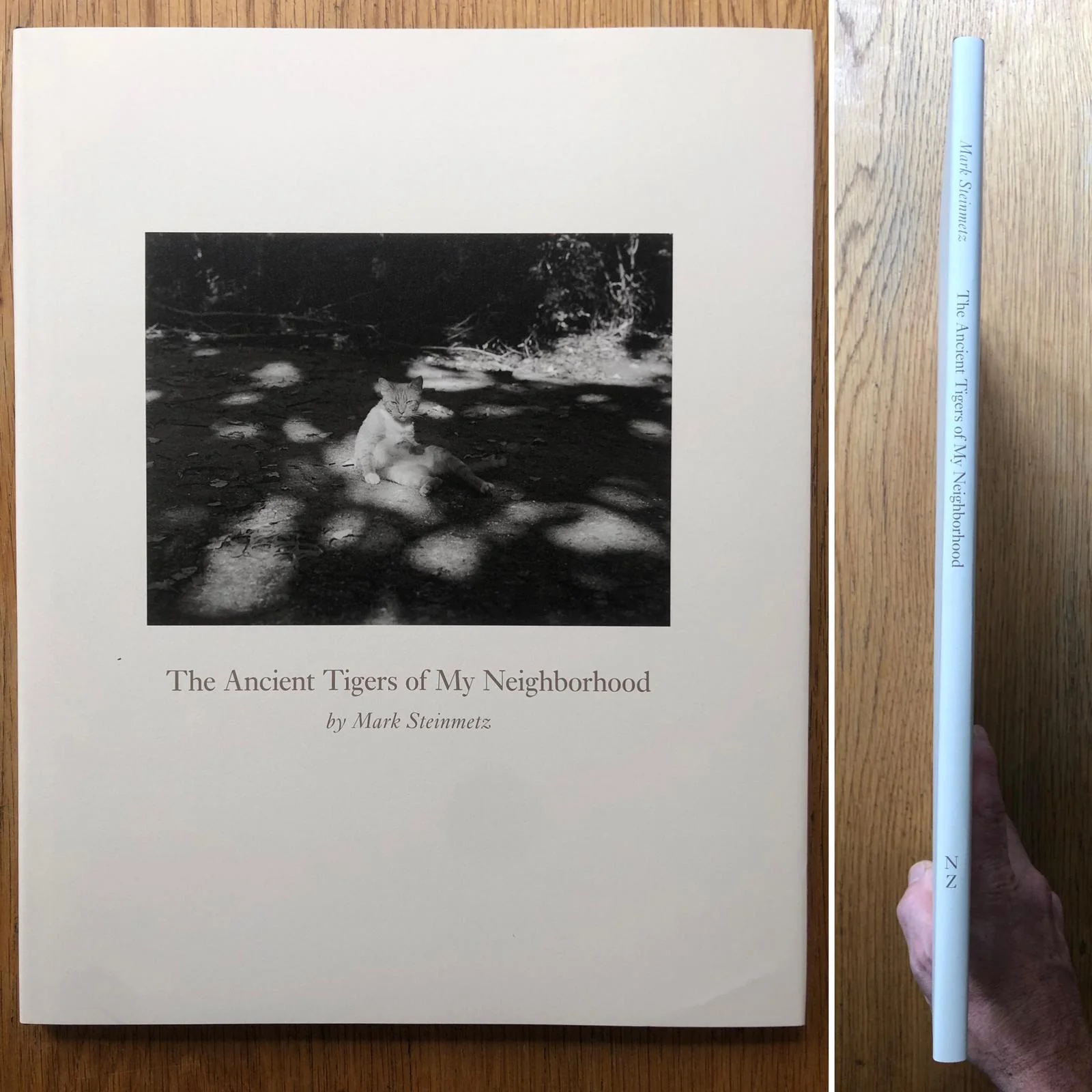SIX BY SIX | Set 1: East Baltimore, Motel Club, Amwell, Machu Picchu, The Ancient Tigers of my Neighborhood, Expressways 1986 - Image 17
