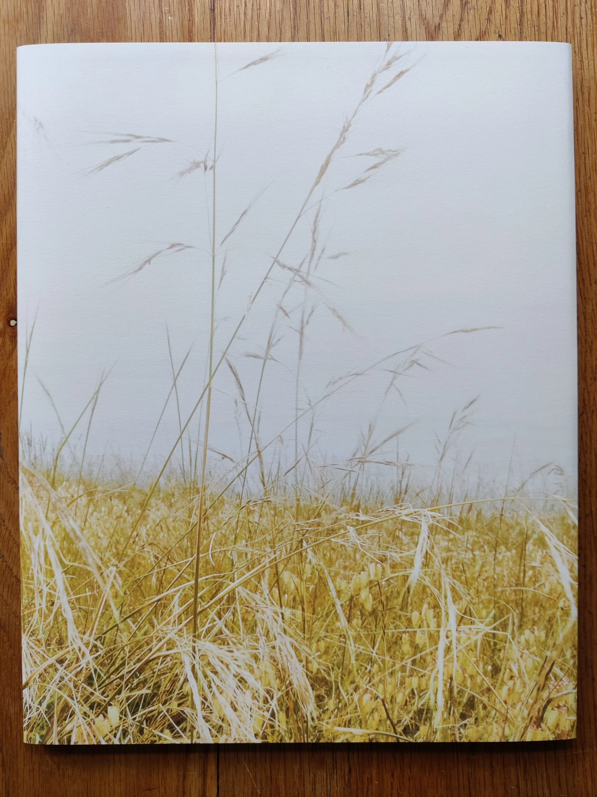SIX BY SIX | Set 3: House Near Akron; On View; LAX NAZ: Los Angeles International Airport Noise Abatement Zone (Exterior Views), 1975; Fishnet; Timber Cove; Slow Fade to Black - Image 22