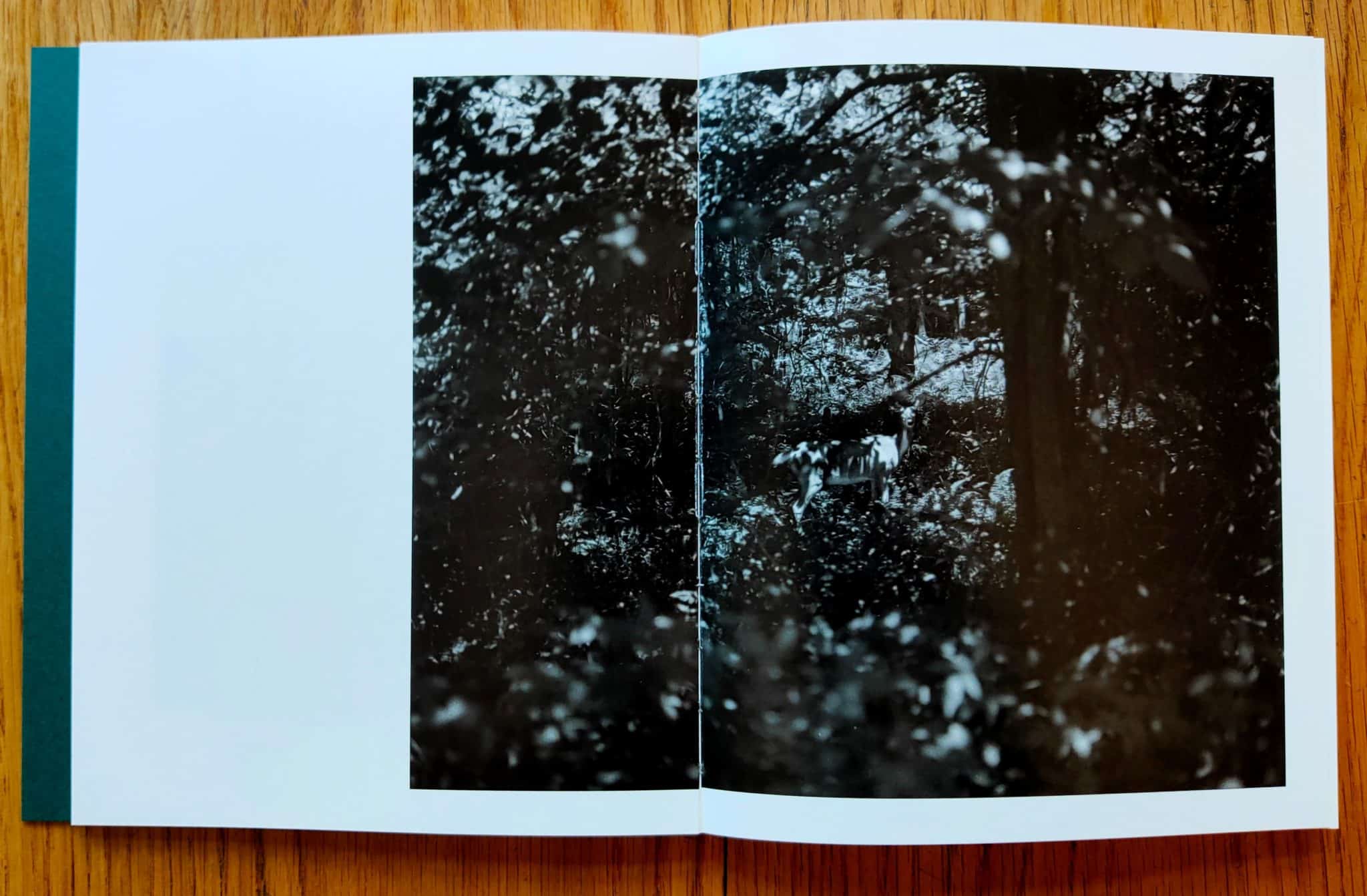Sleep Creek - Image 5