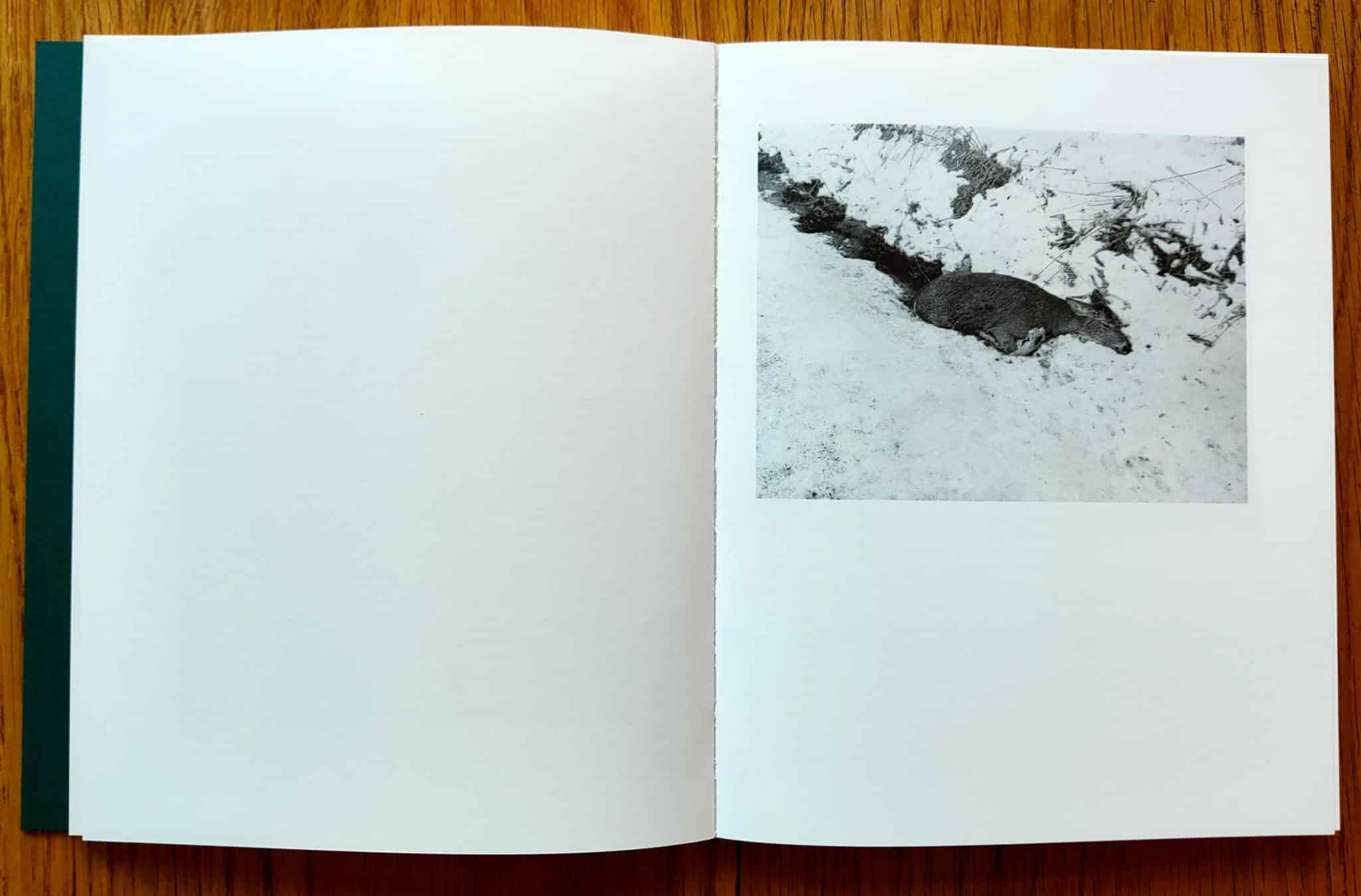Sleep Creek - Image 6