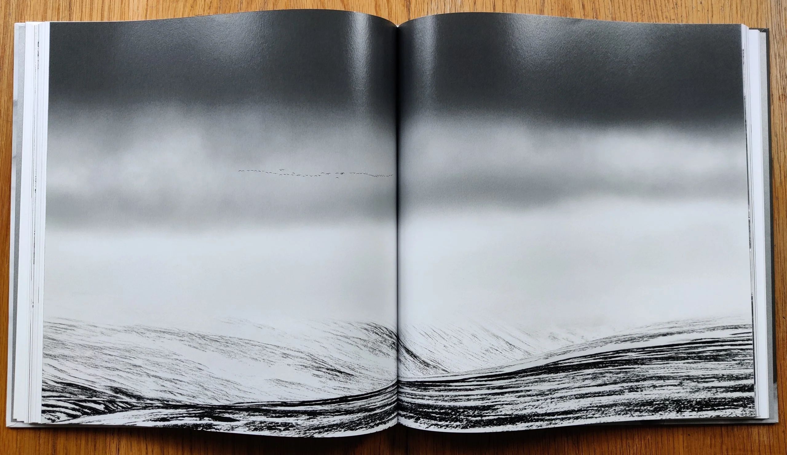 Snow - Image 7