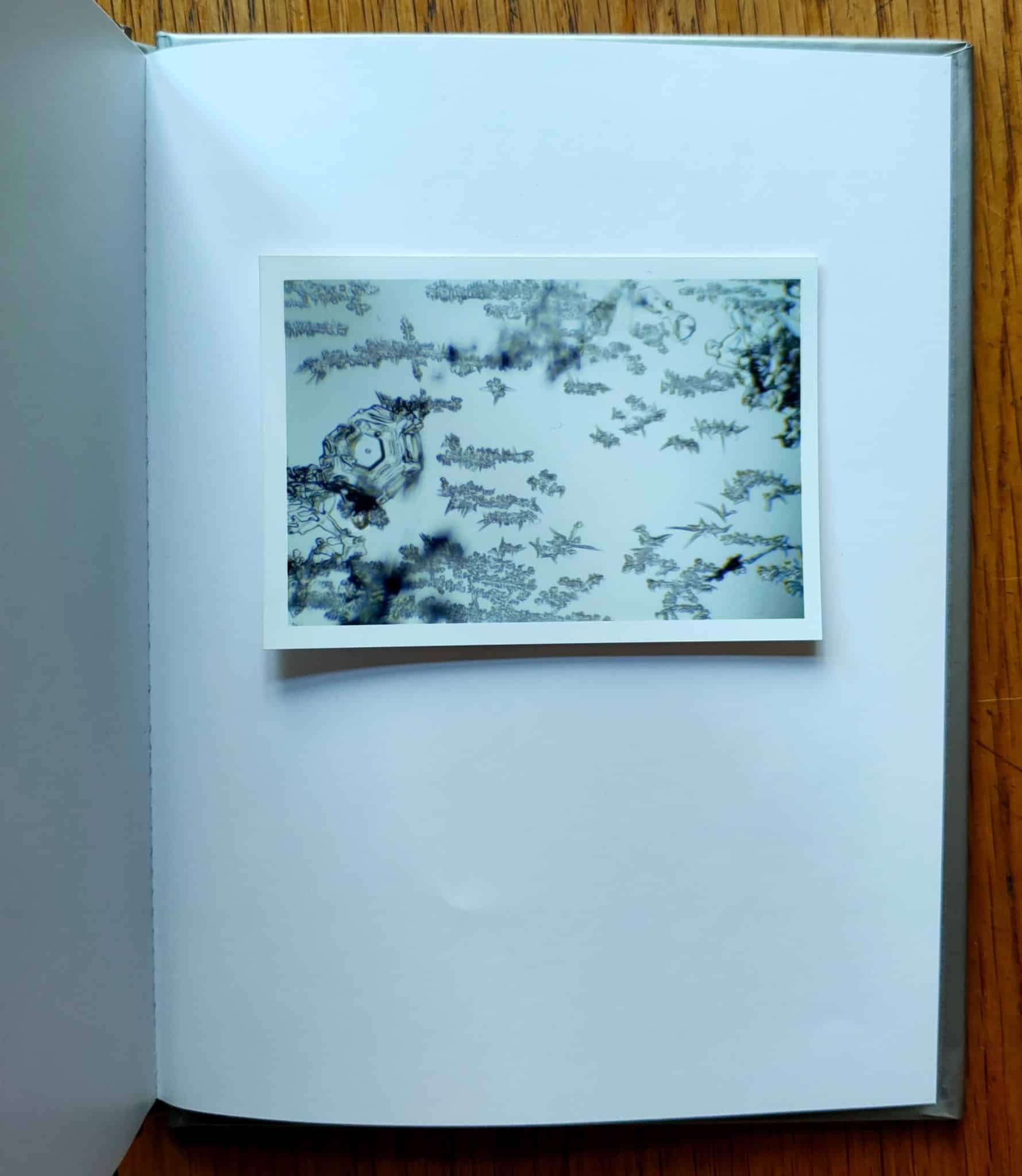 Snow Letter (One Picture Book) - Image 3