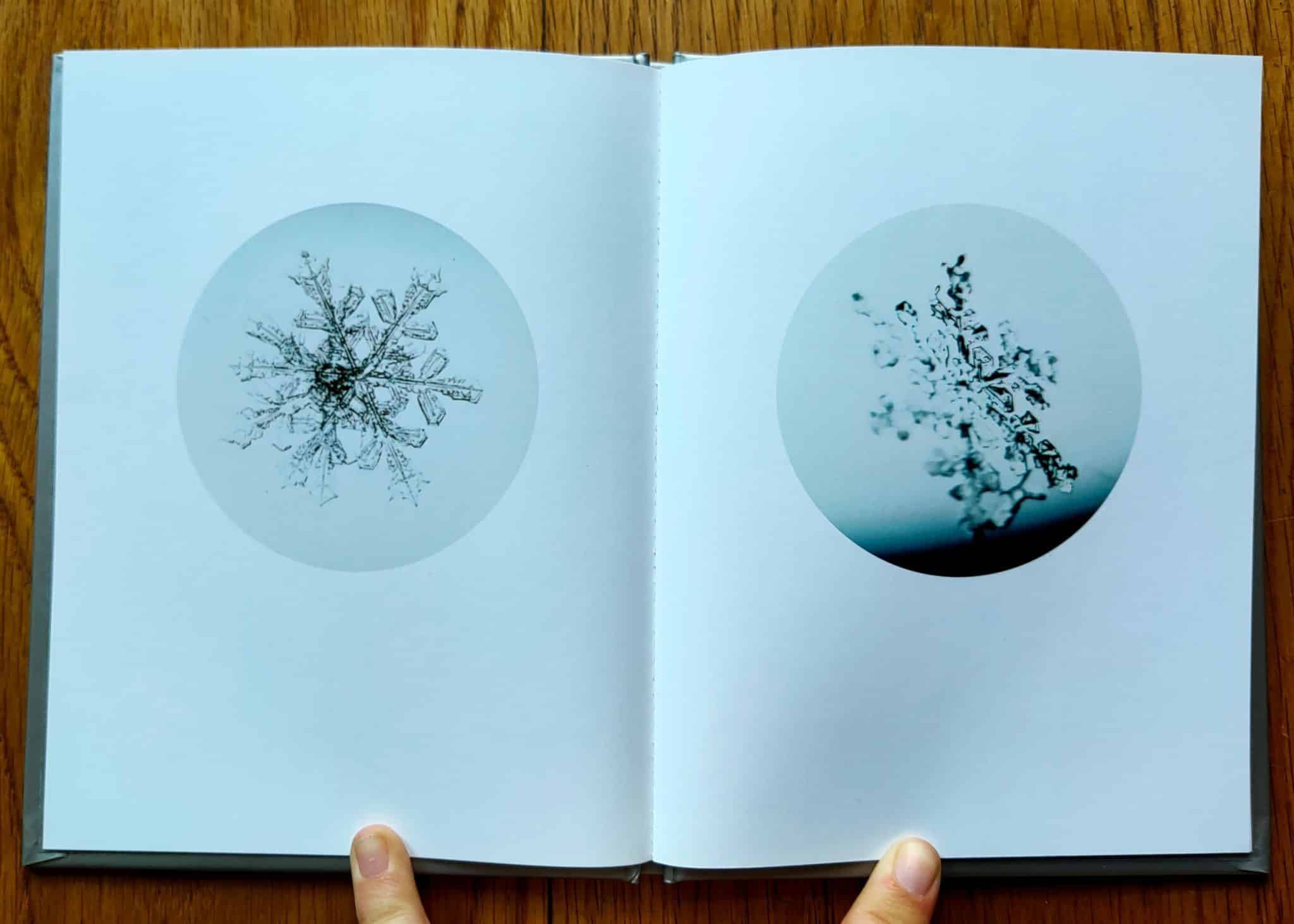 Snow Letter (One Picture Book) - Image 5