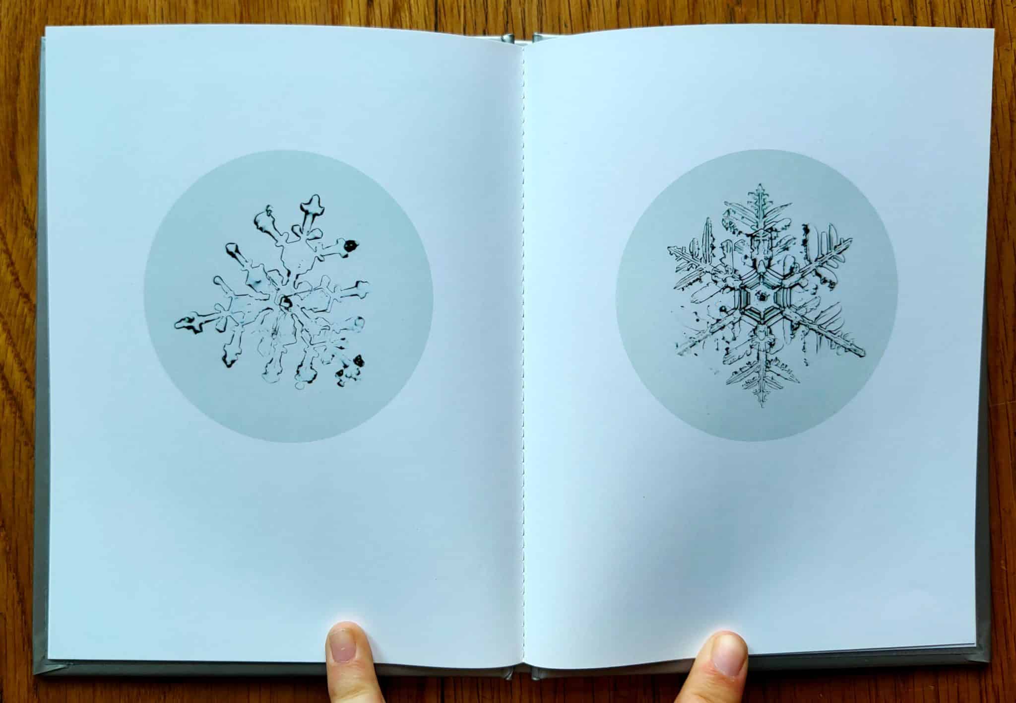 Snow Letter (One Picture Book) - Image 6