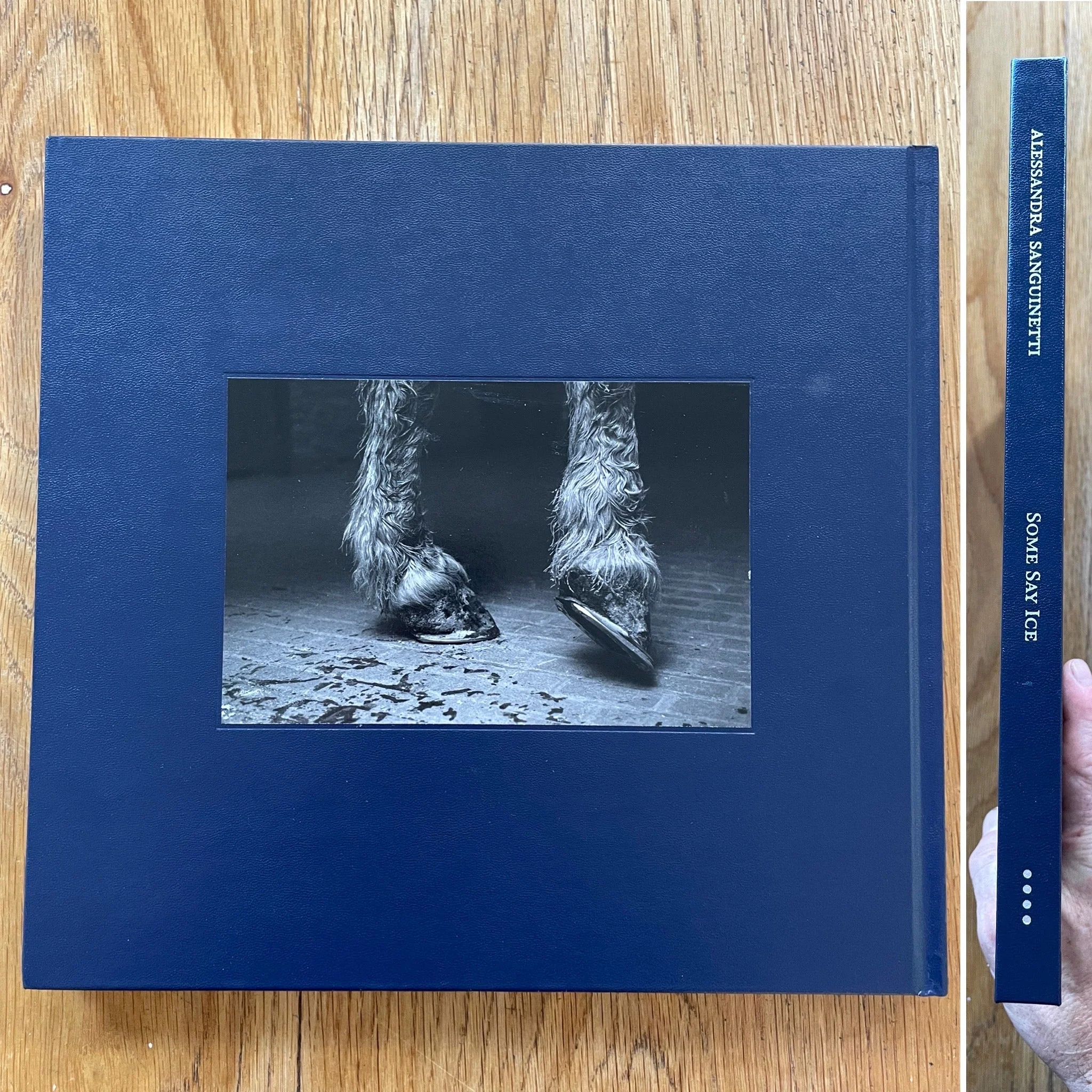 Some Say Ice (1st Edition) - Image 7