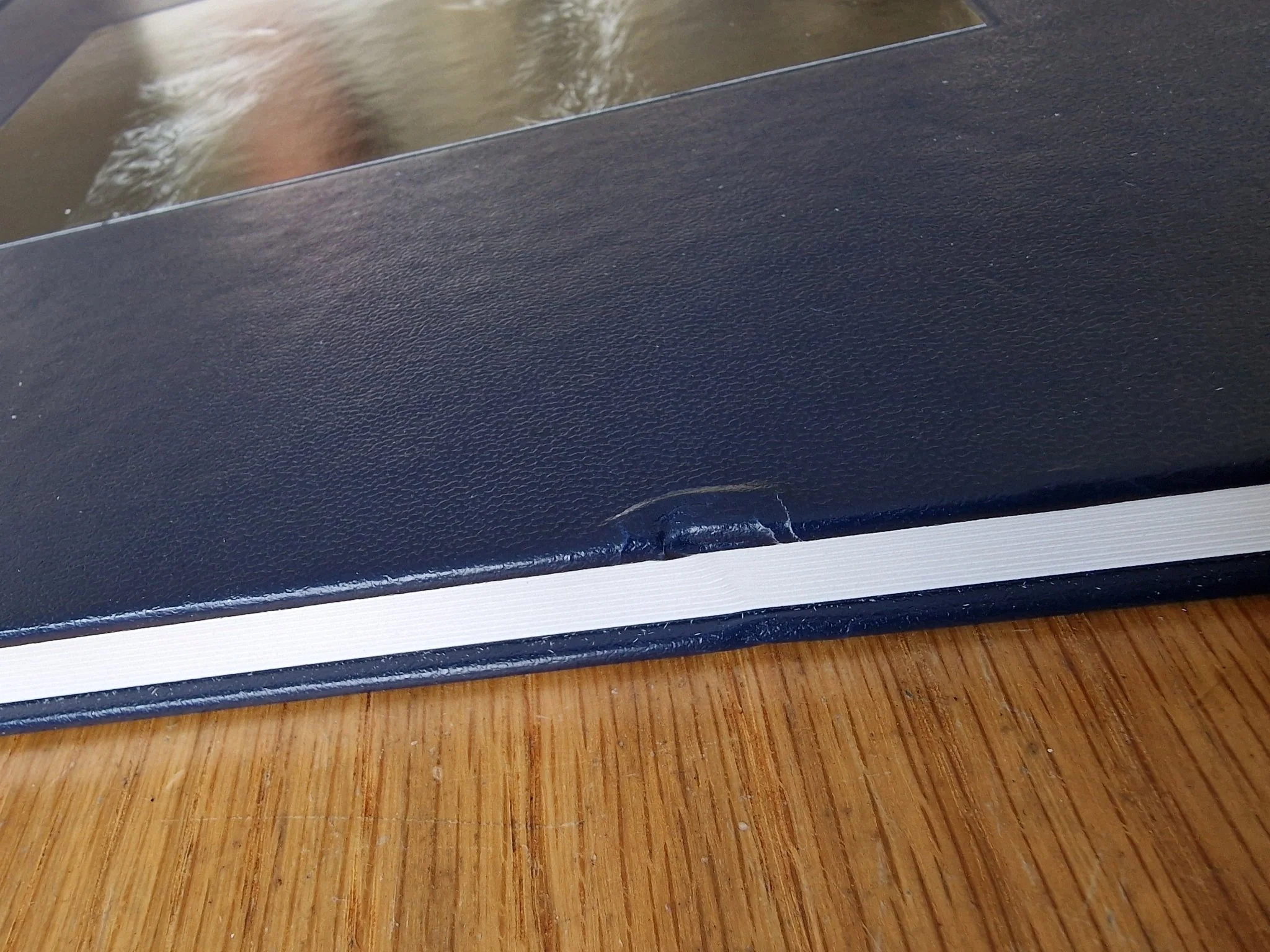 Some Say Ice (1st Edition) - Image 8