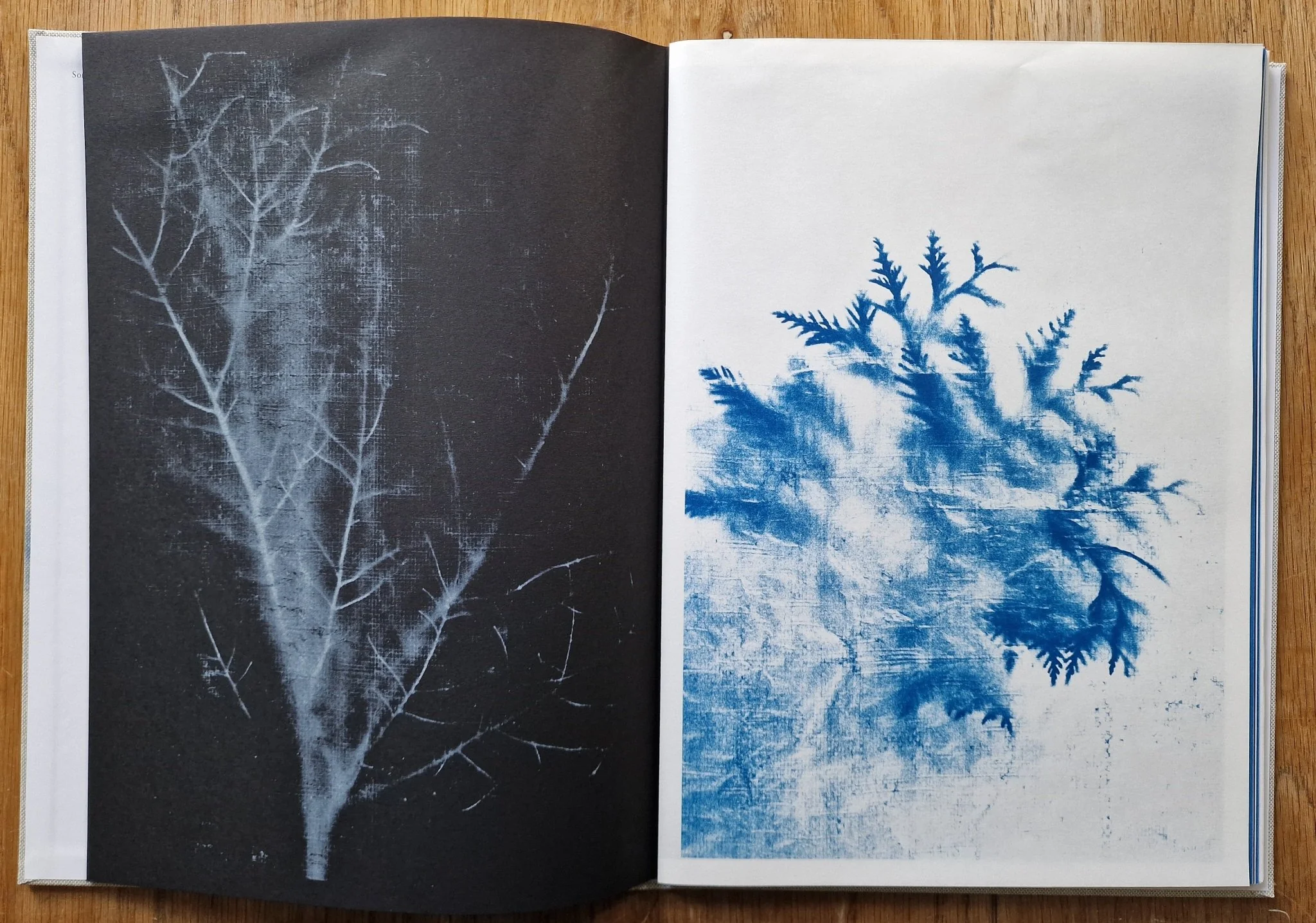 Some Things Bleak - Image 3