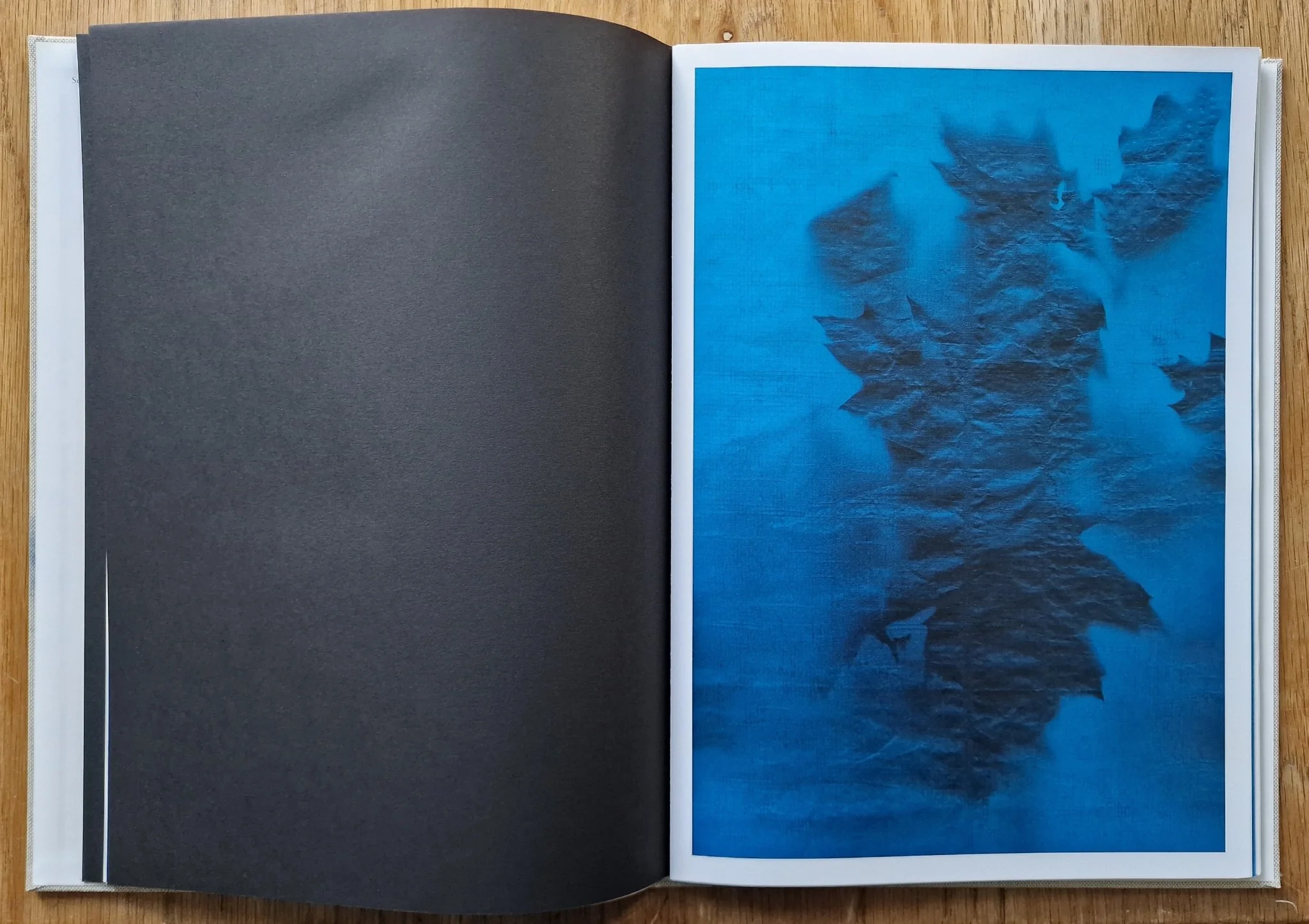 Some Things Bleak - Image 4