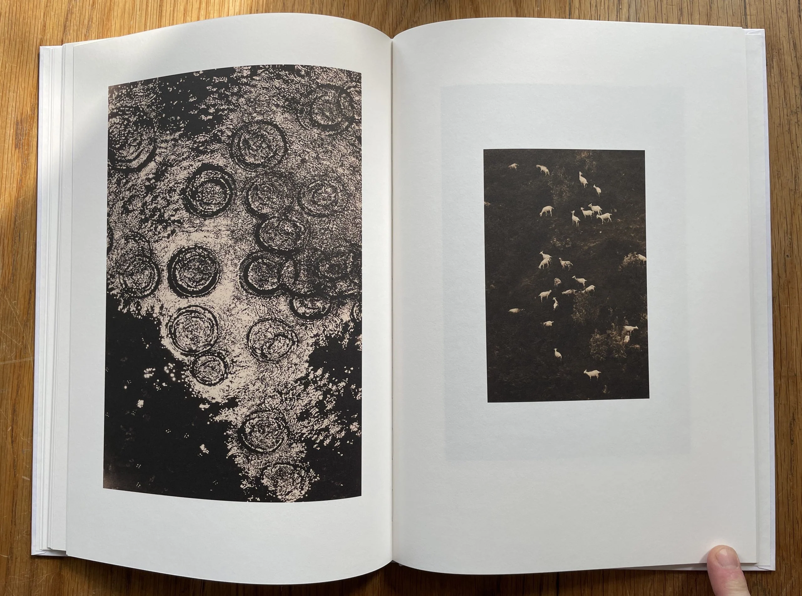 Son Album - Image 3