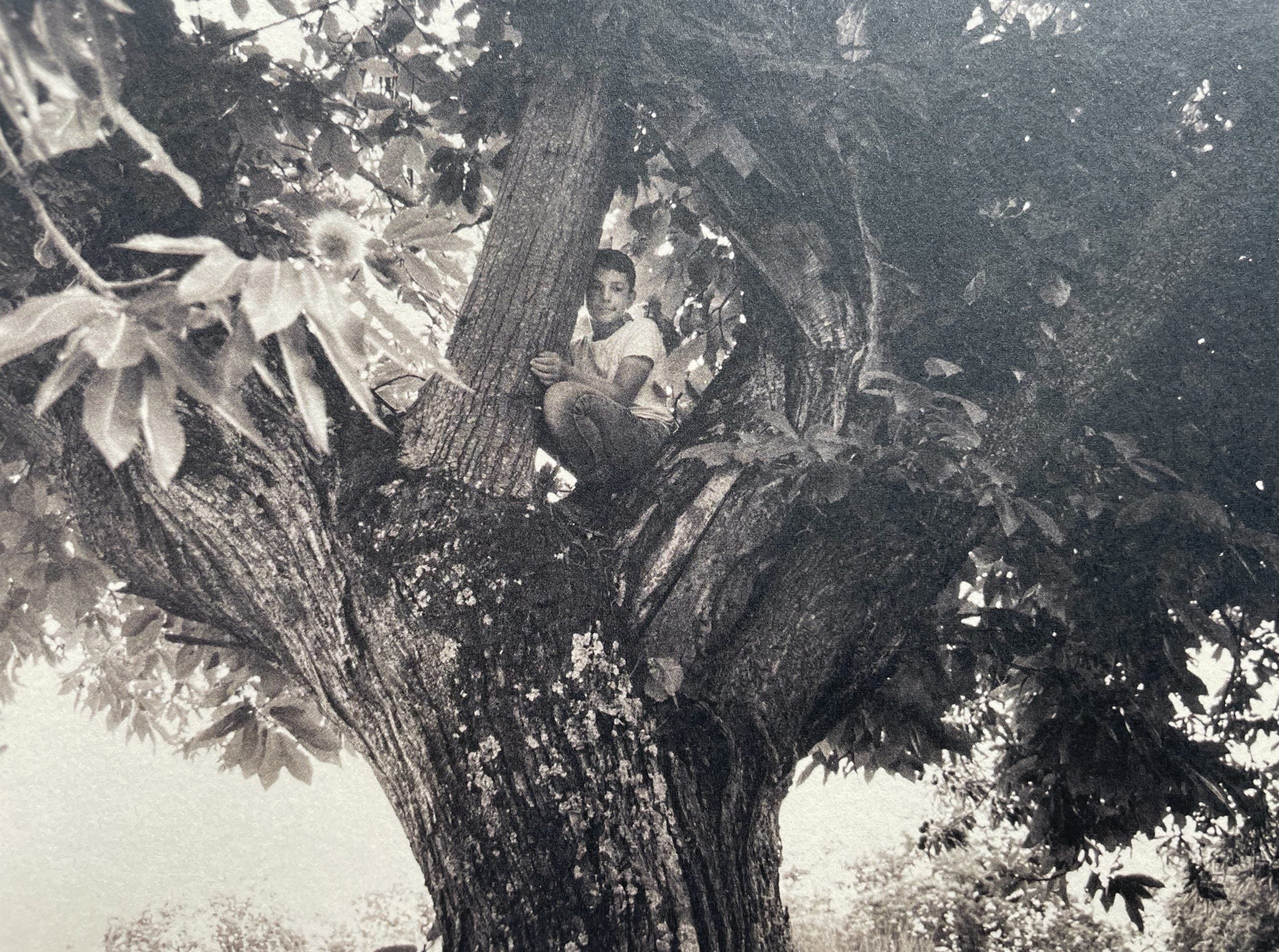 Son Album - Image 5