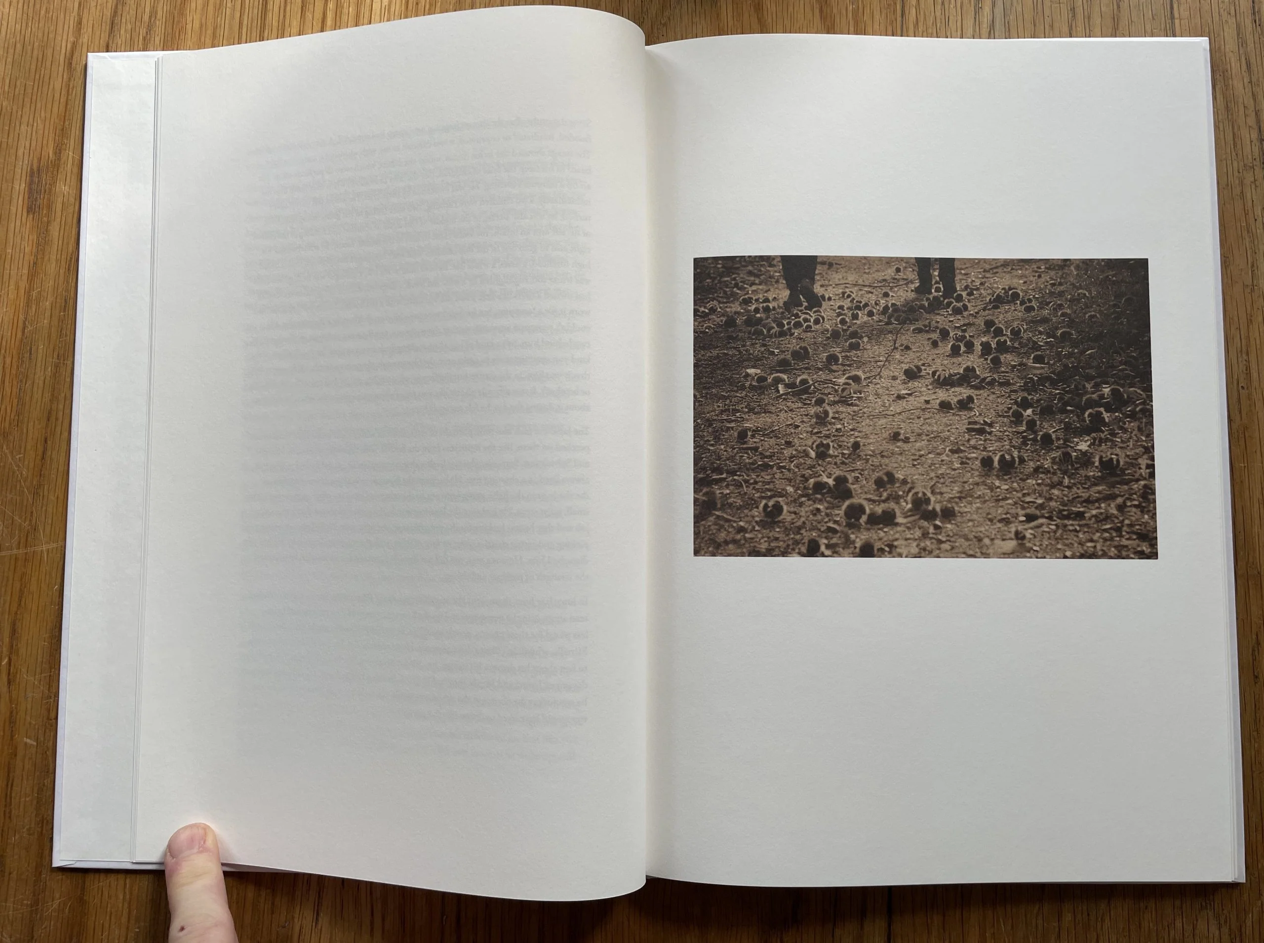Son Album - Image 6