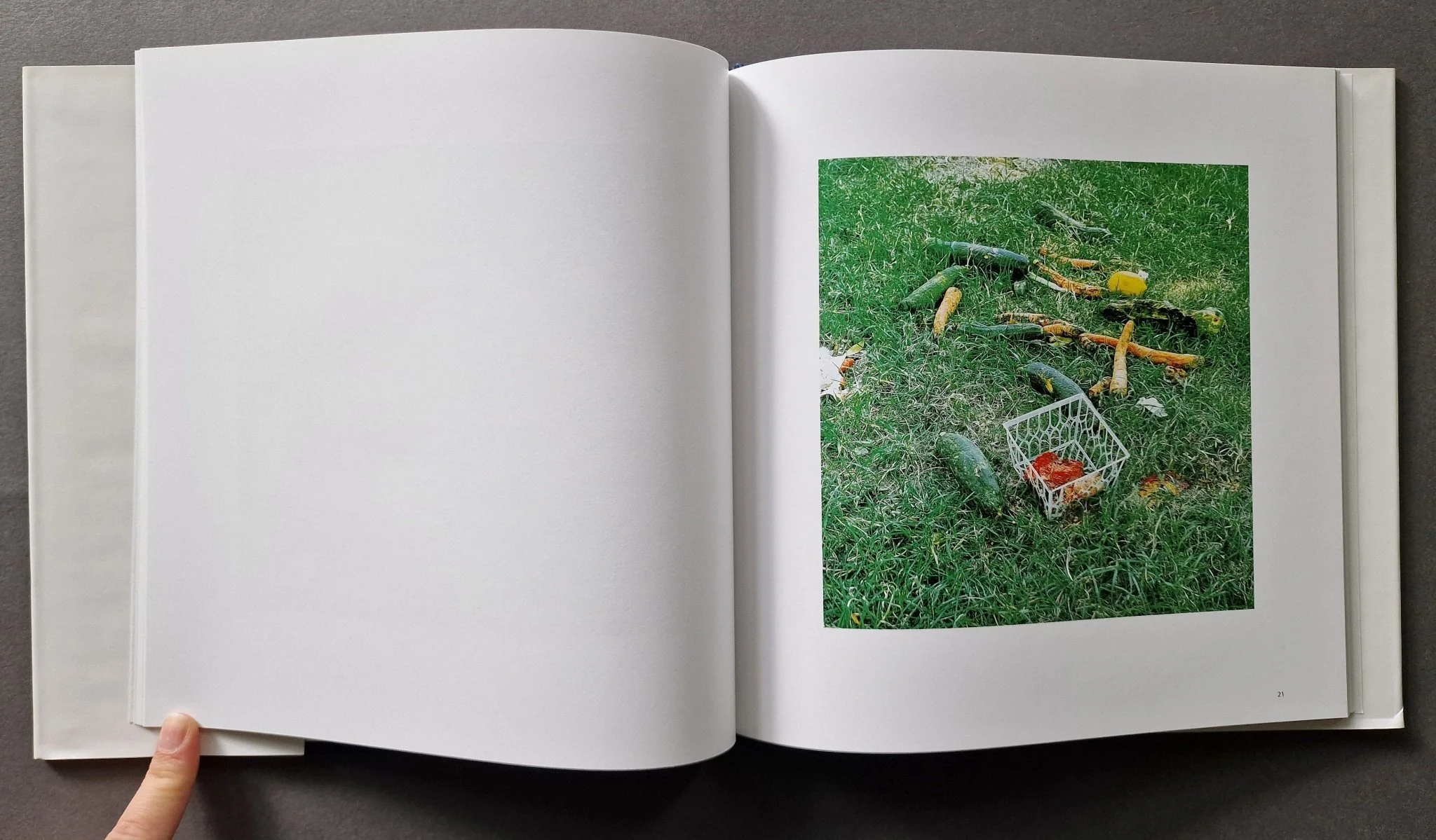 Sons of Adam: Landscapes for the Homeless II - Image 4