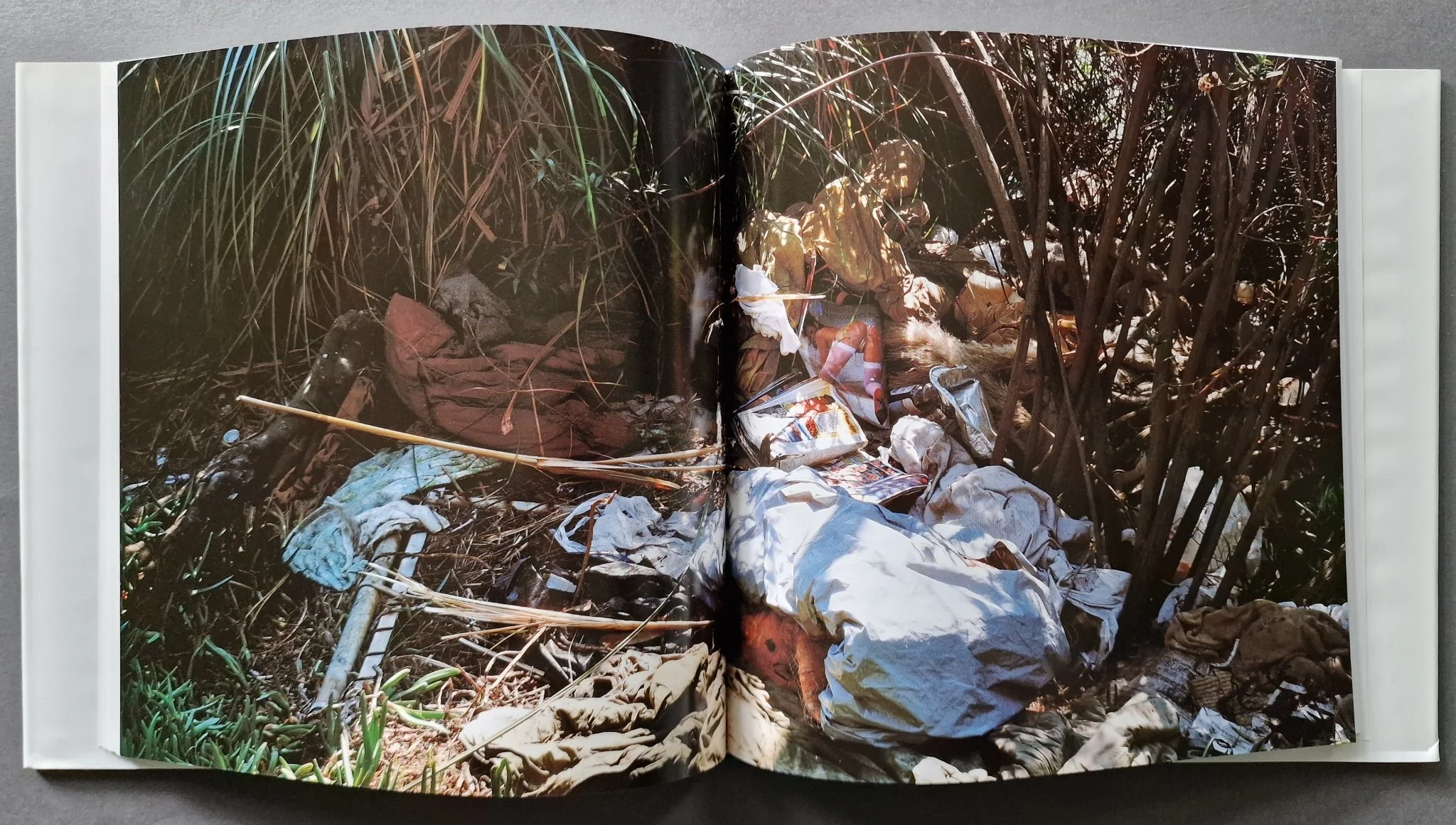 Sons of Adam: Landscapes for the Homeless II - Image 5