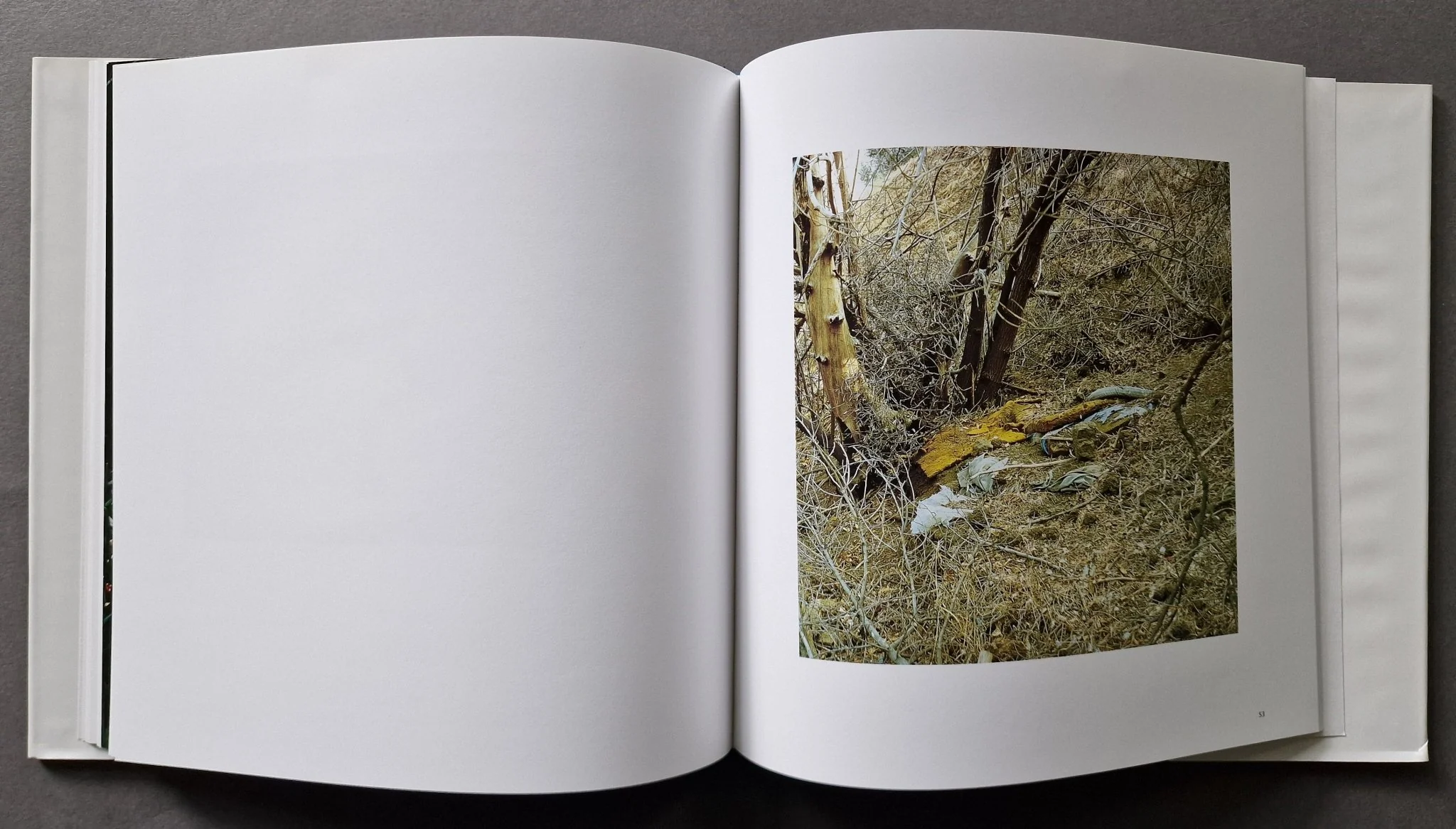 Sons of Adam: Landscapes for the Homeless II - Image 6