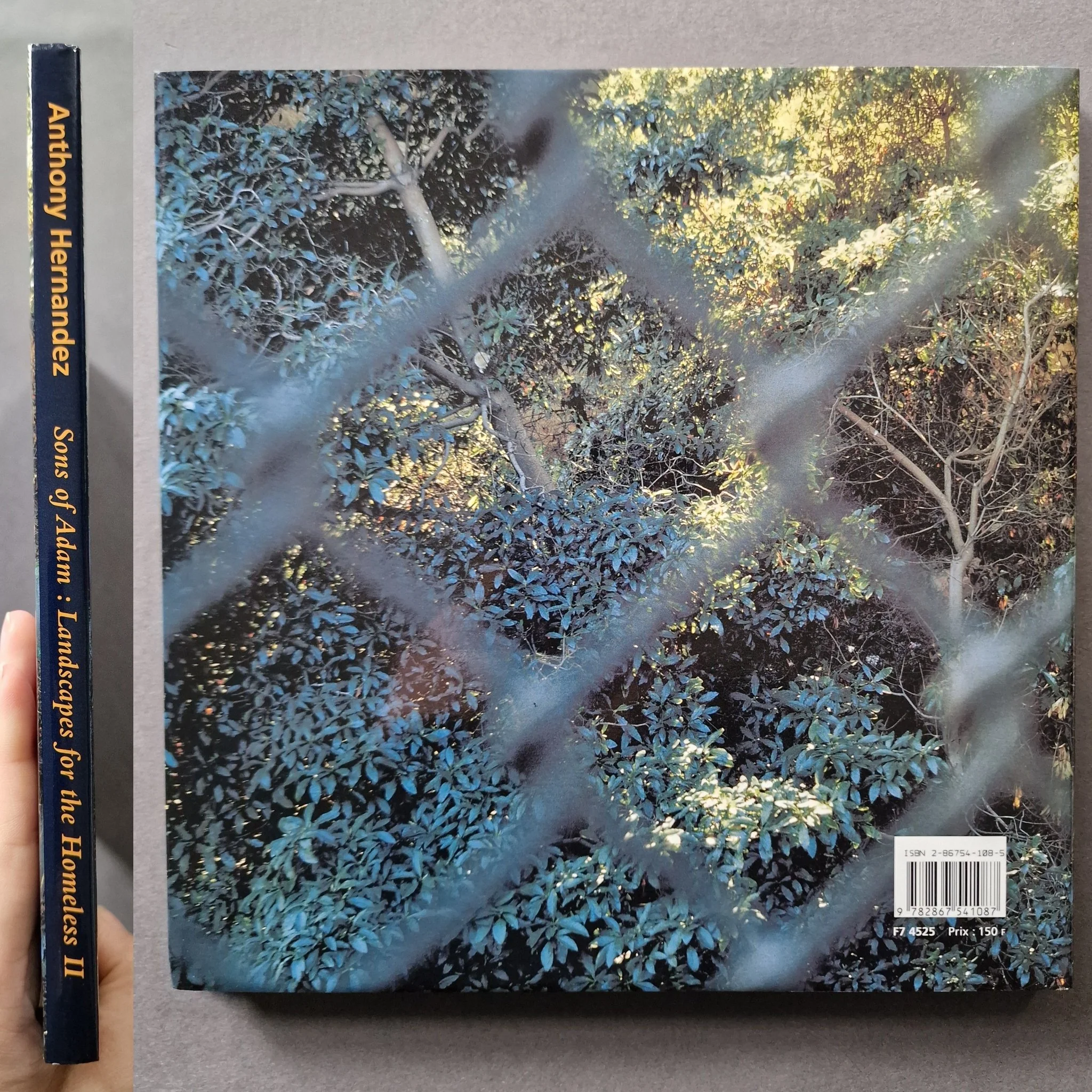 Sons of Adam: Landscapes for the Homeless II - Image 8