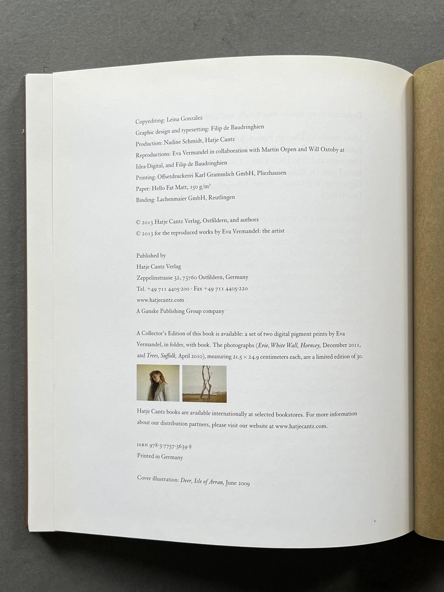 Splinter - Image 5