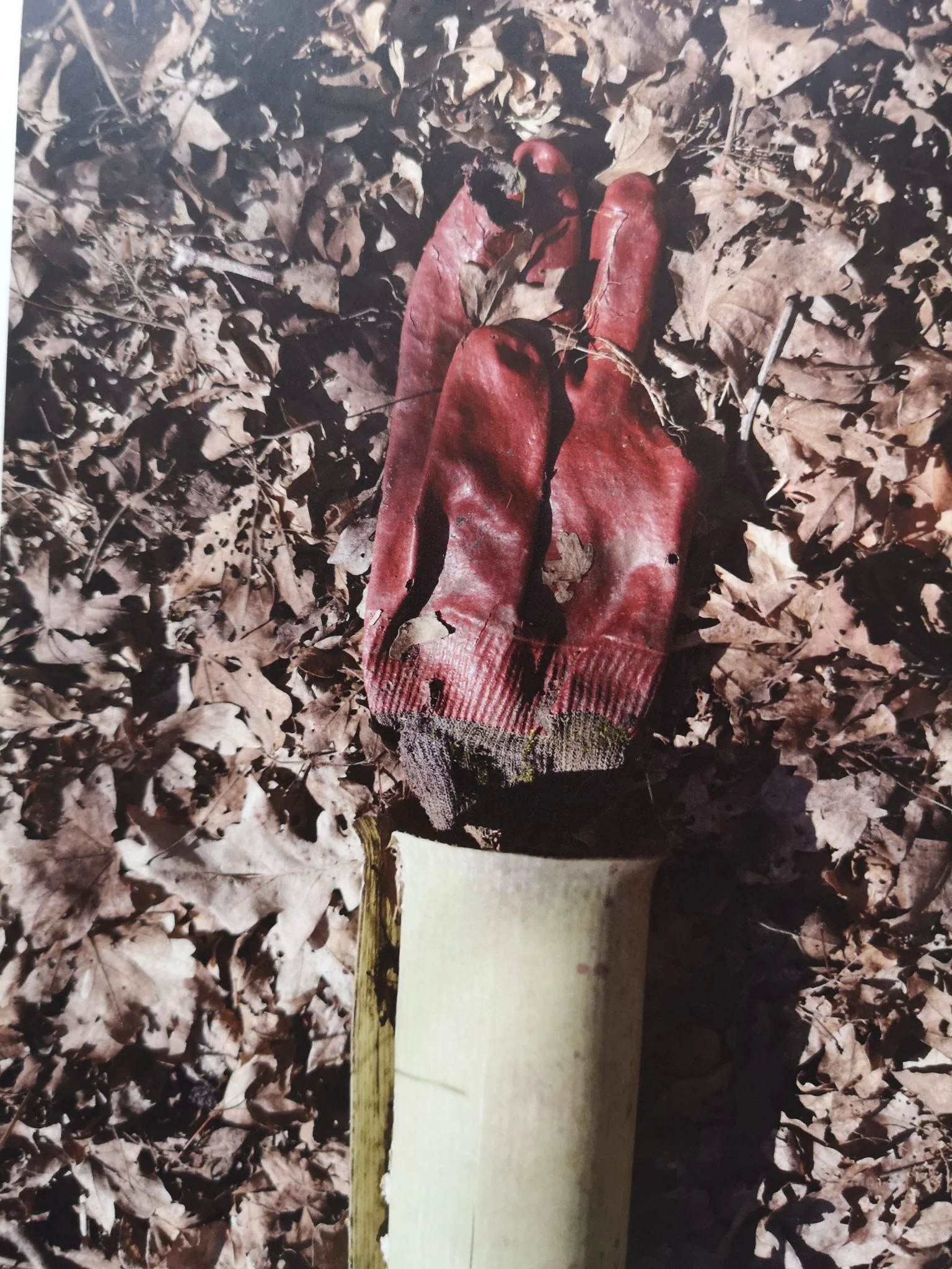 Spring in the Temple of Plastic Pillars - Image 7