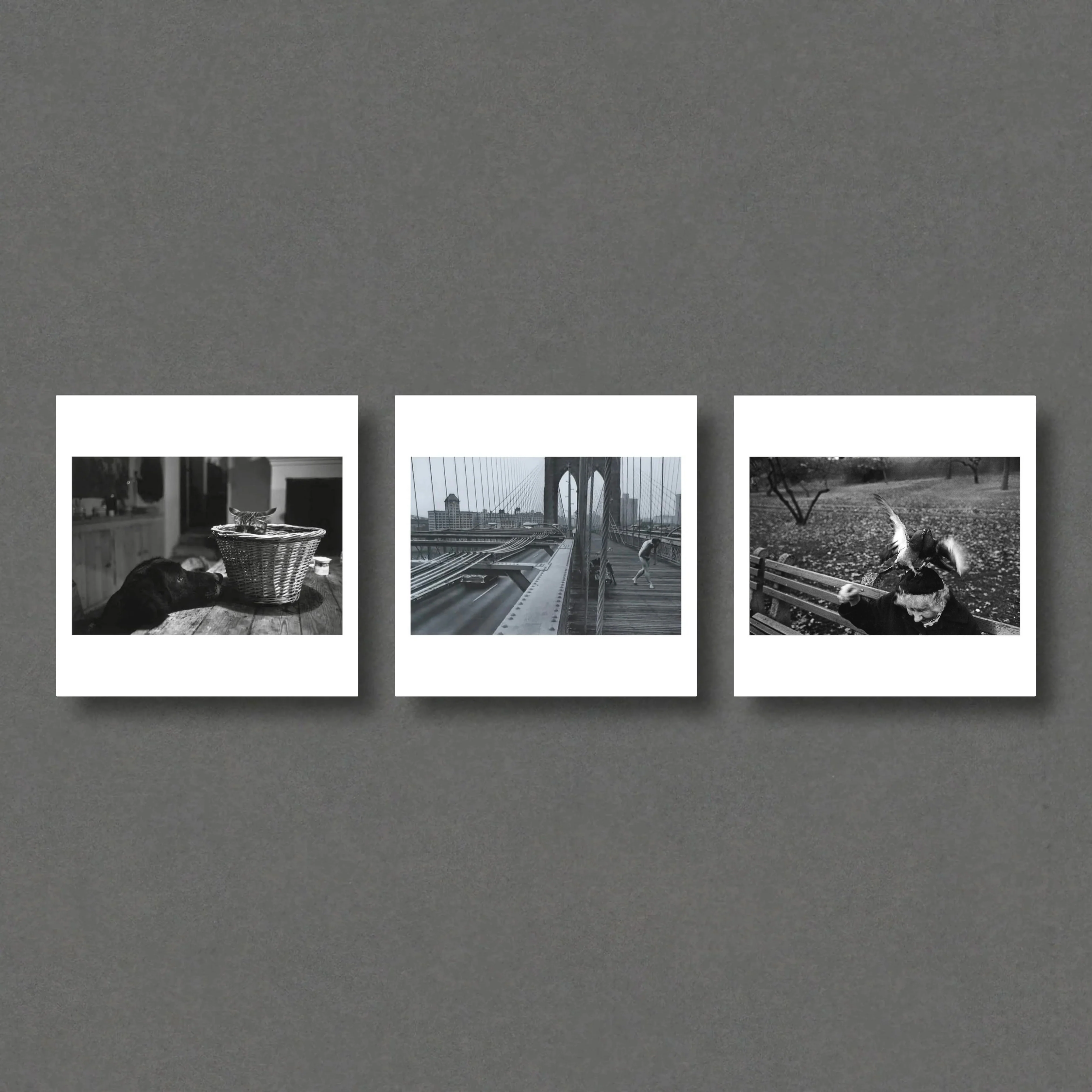Richard Kalvar Magnum Square Prints