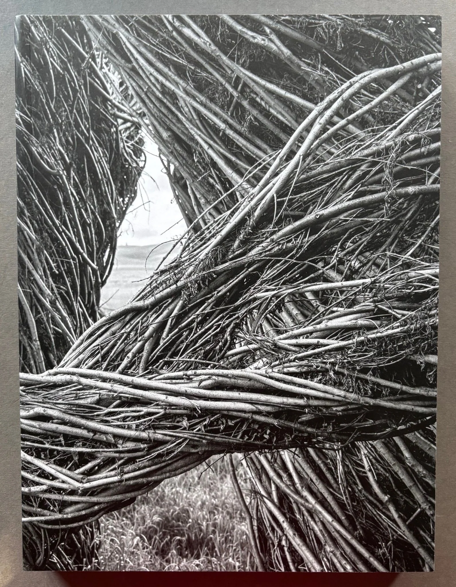 Sticks