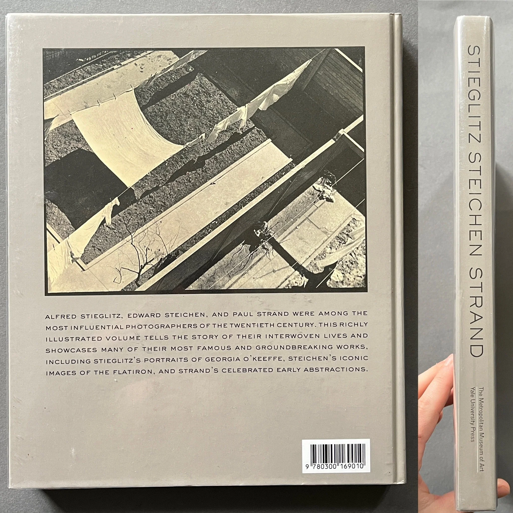 Stieglitz, Steichen, Strand - Image 6
