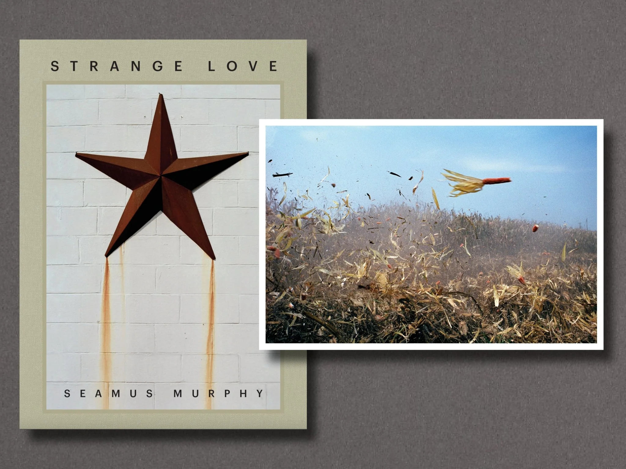 Strange Love - Image 5