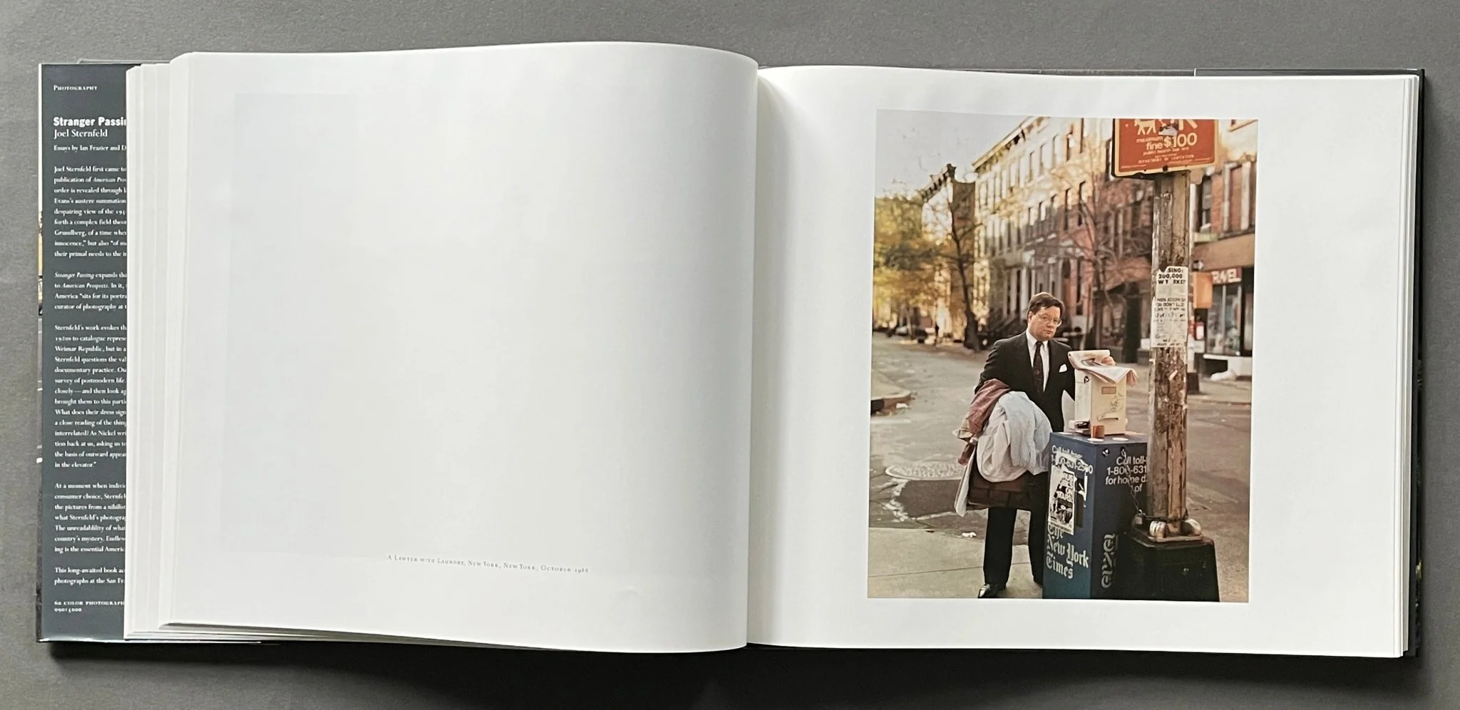 Stranger Passing - Image 3