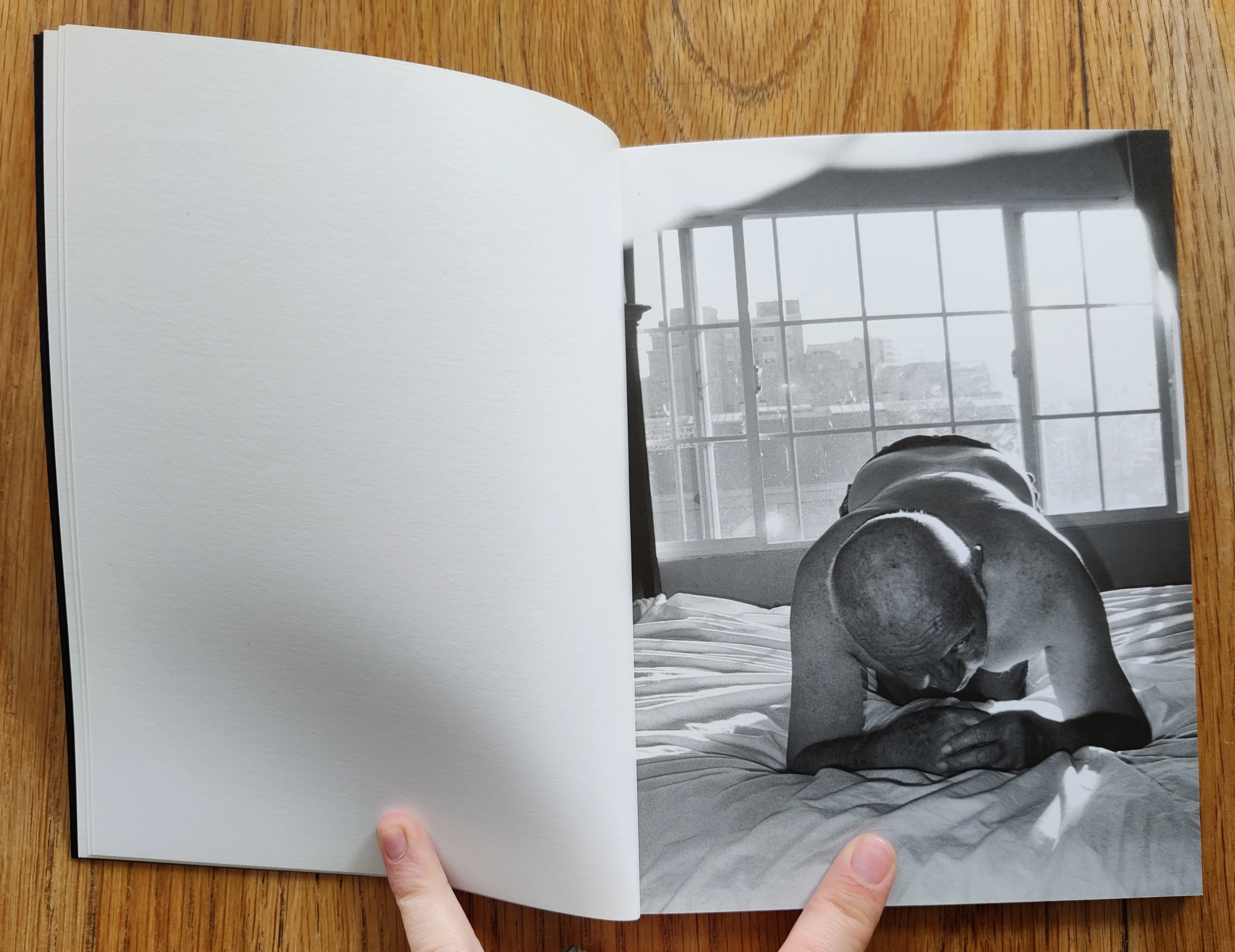 Subscription Series No.3 - Mark Steinmetz, Elaine Stocki, Dru Donovan, Katy Grannan - Image 16