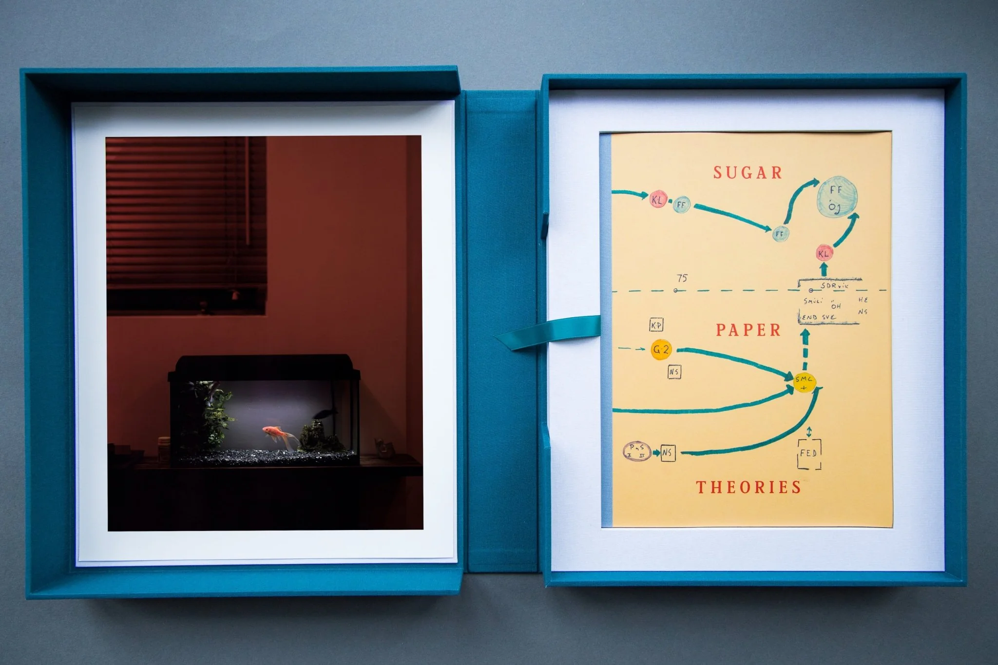 Sugar Paper Theories Portfolio Box - Image 18