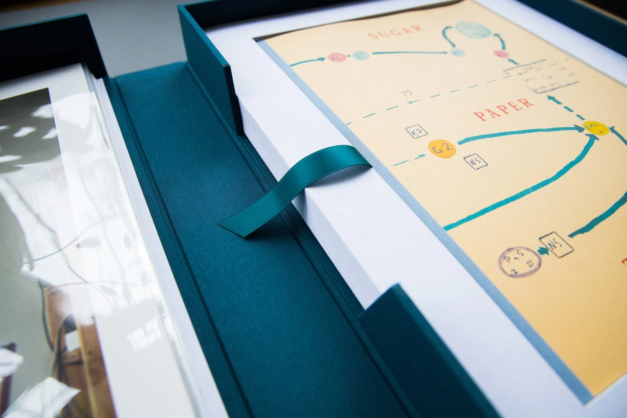Sugar Paper Theories Portfolio Box - Image 5