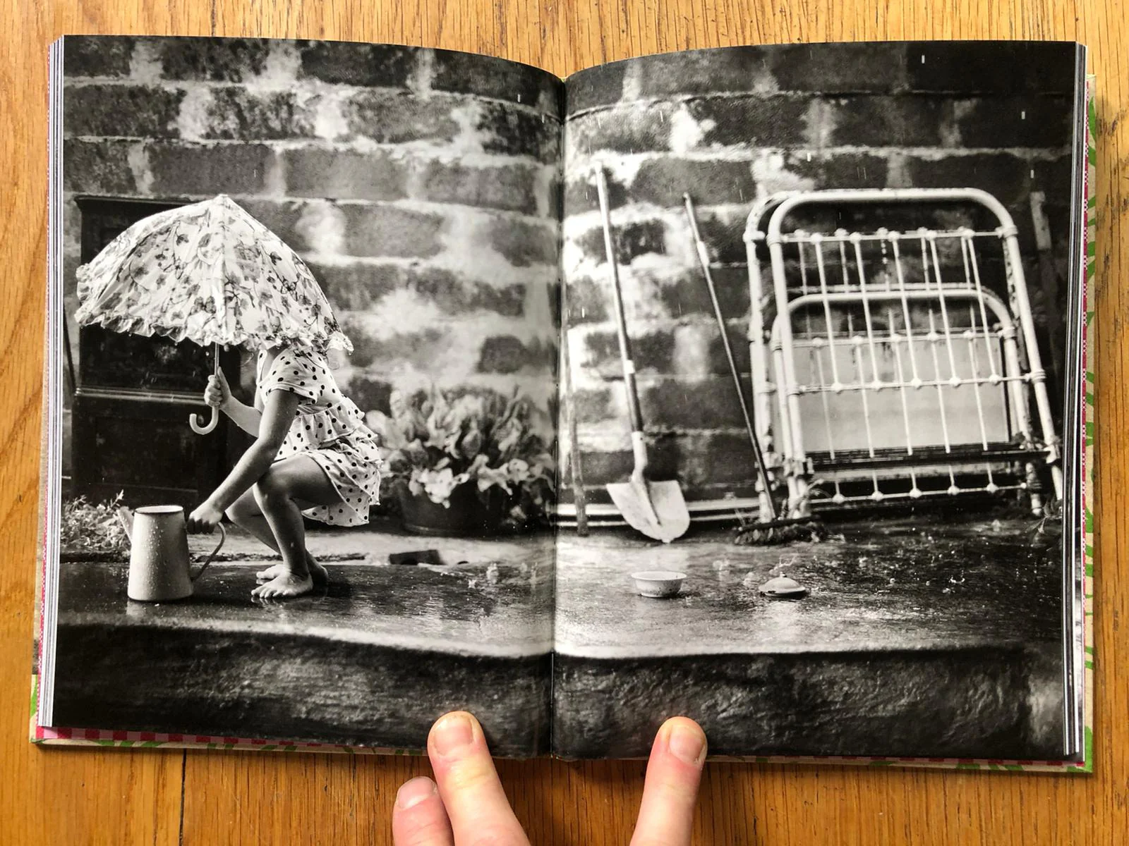 Summer of the Fawn - Image 3