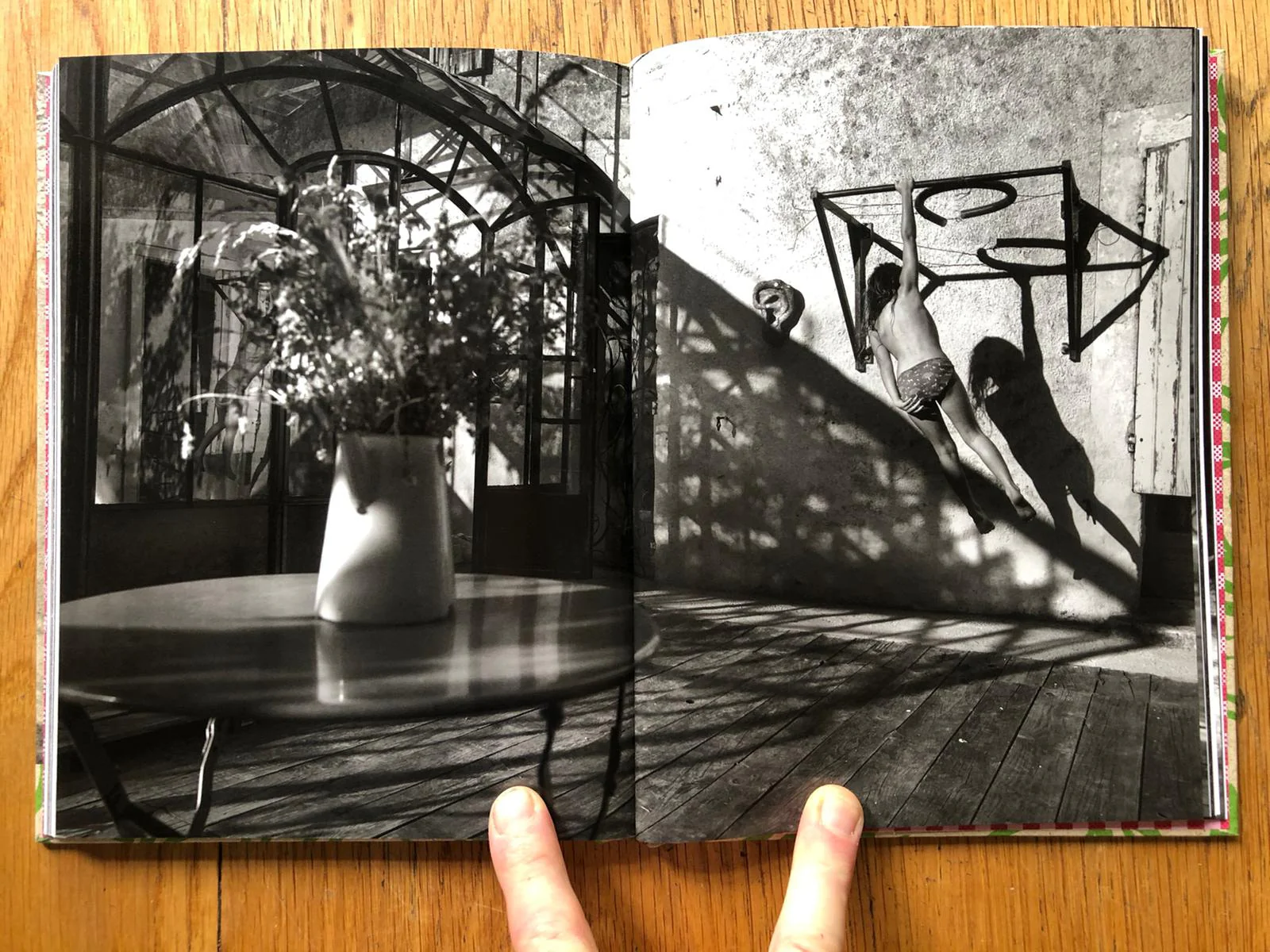 Summer of the Fawn - Image 5