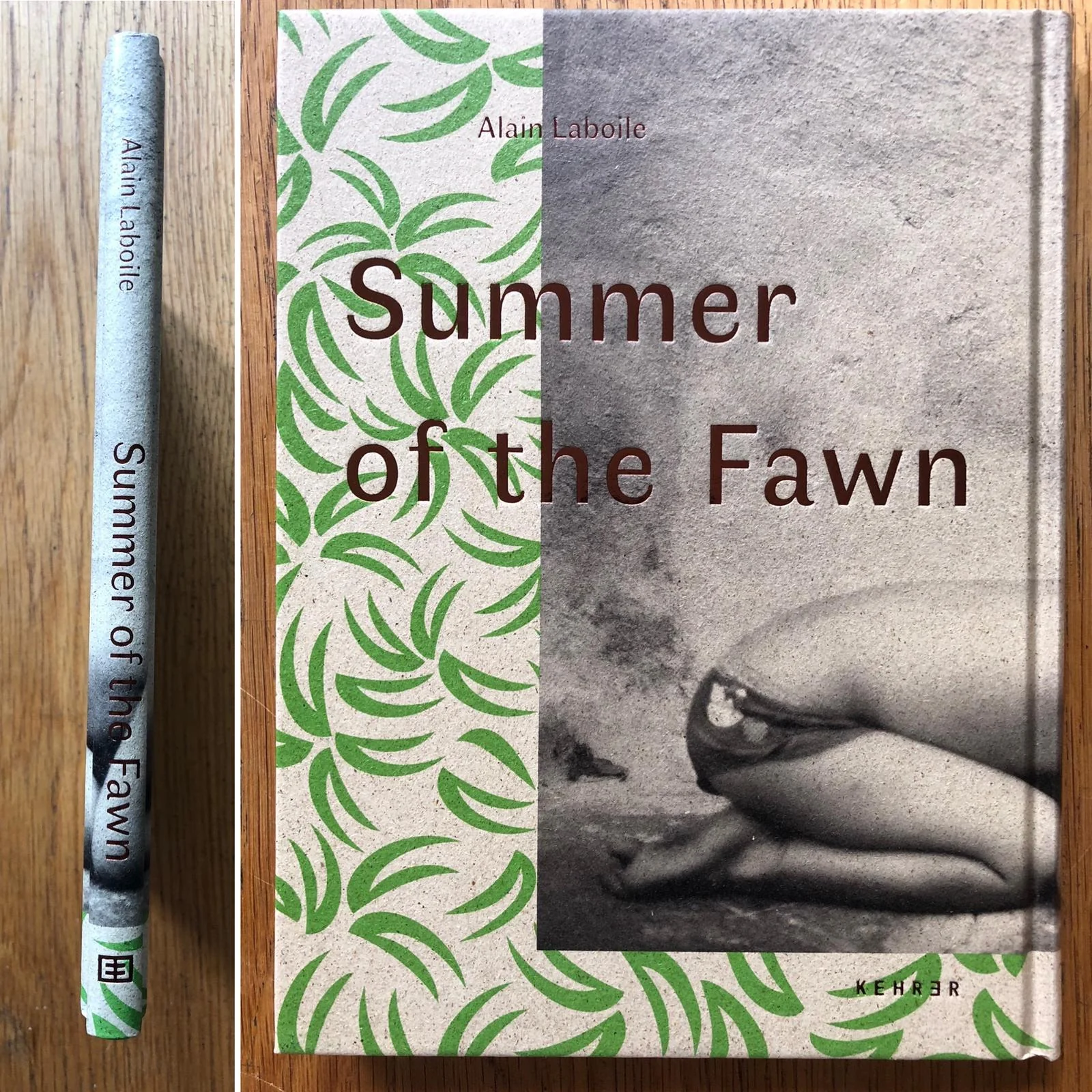 Summer of the Fawn - Image 7